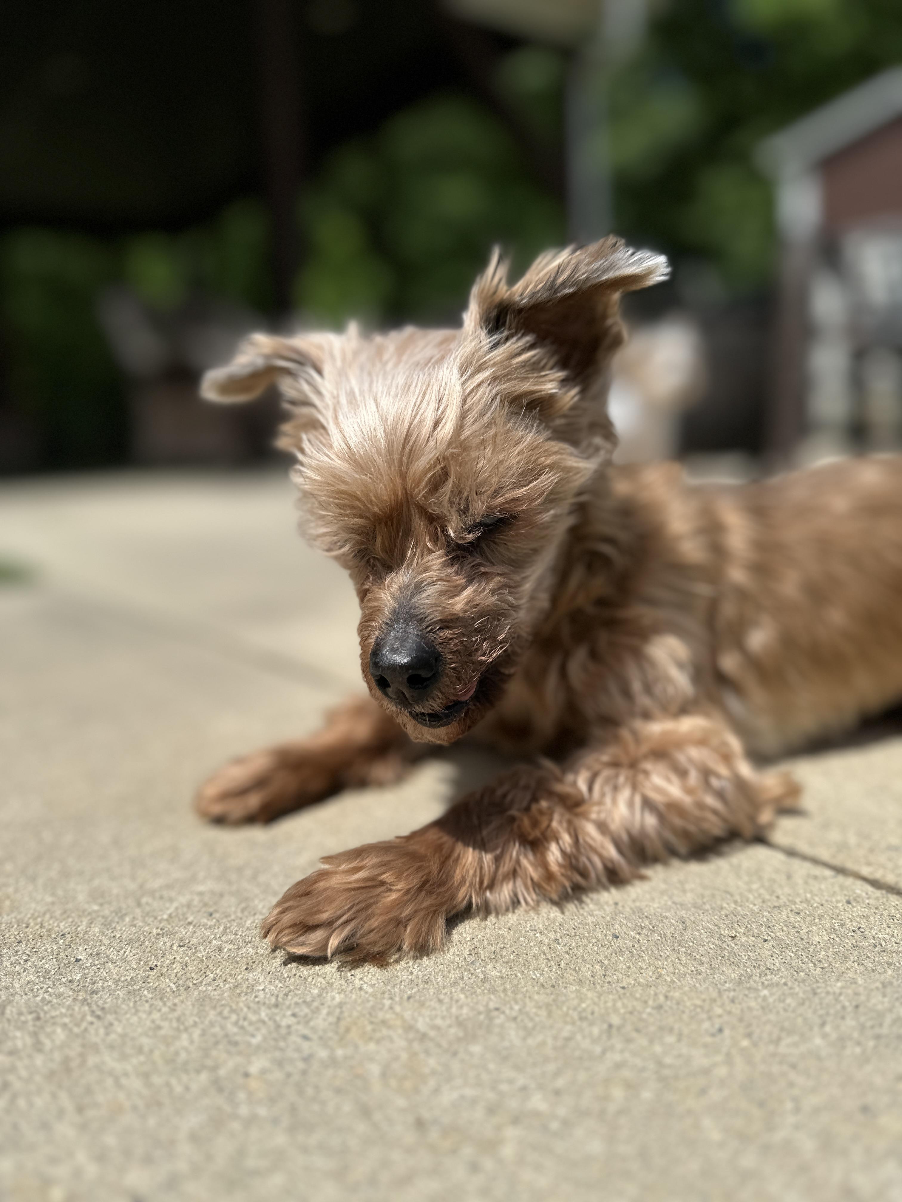 Olivia — thumbnail 2