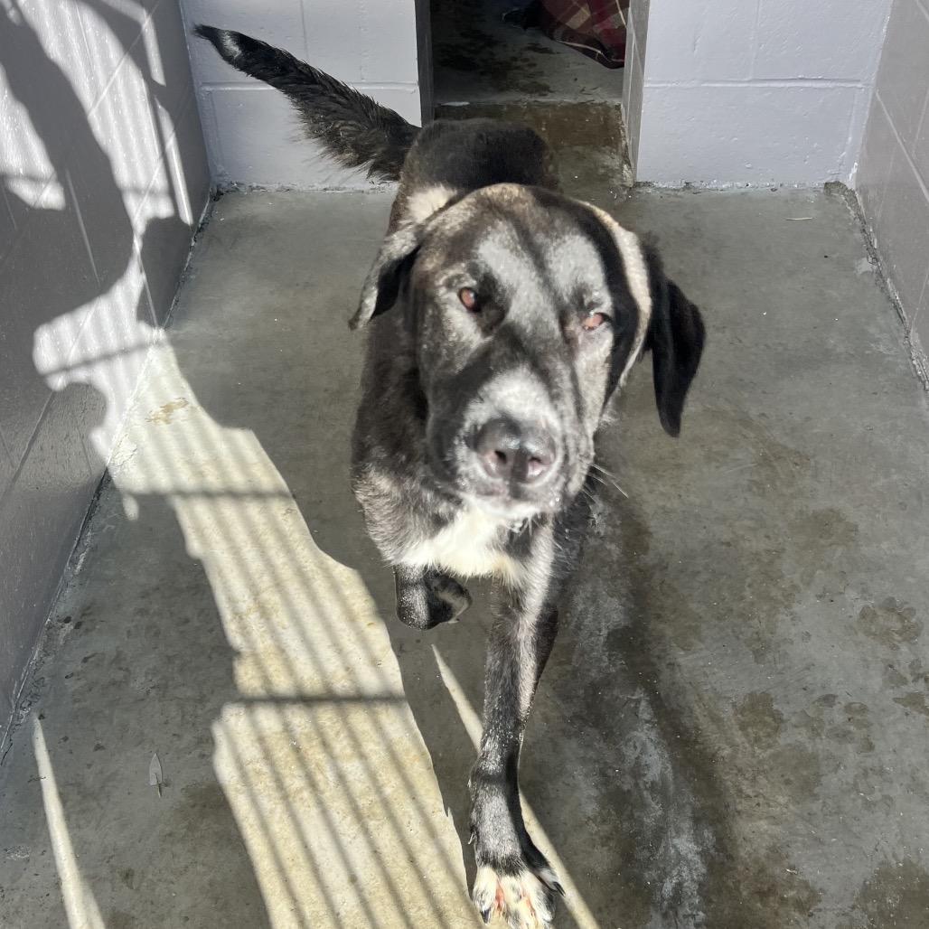 Stevie From Logistics