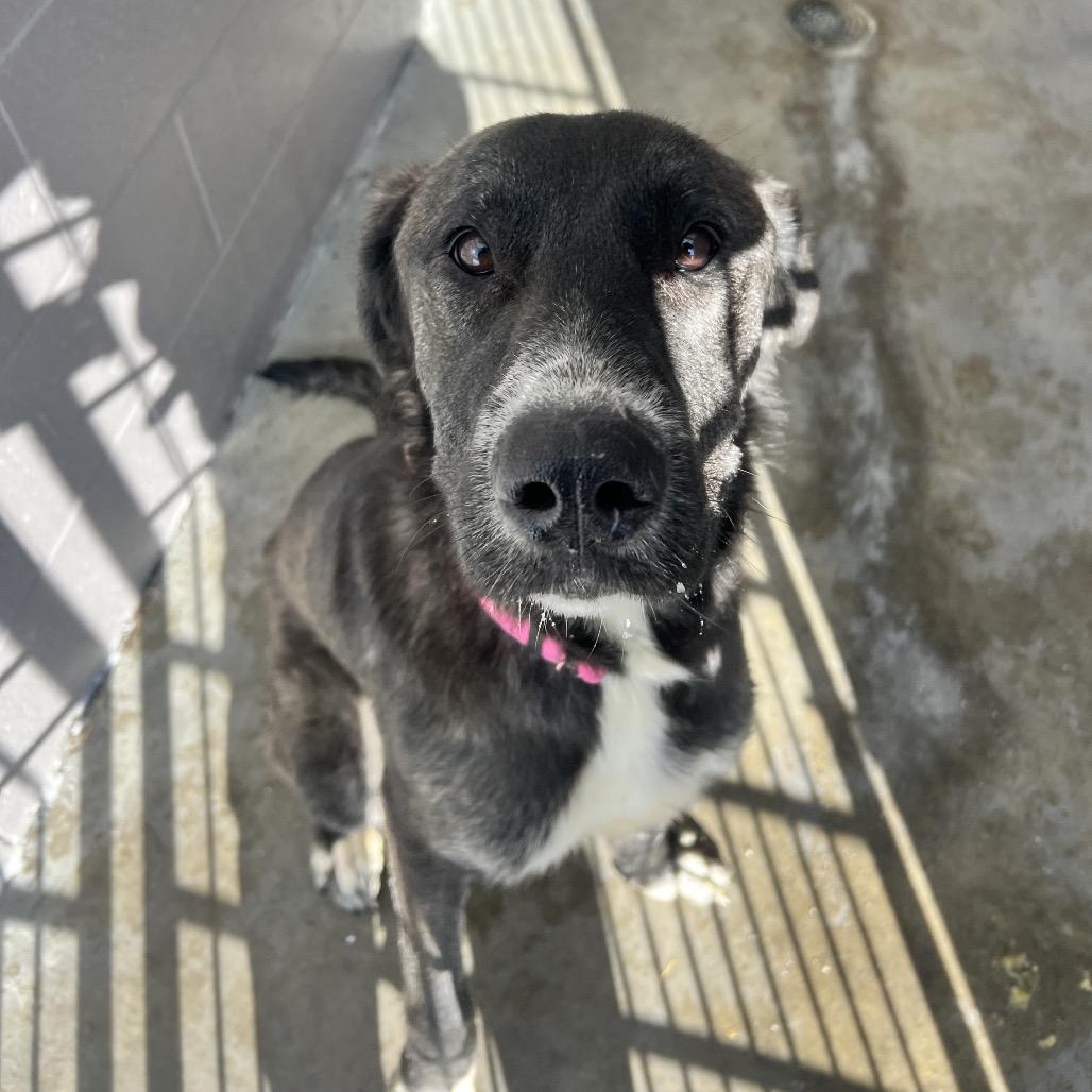 Stevie From Logistics thumbnail 2