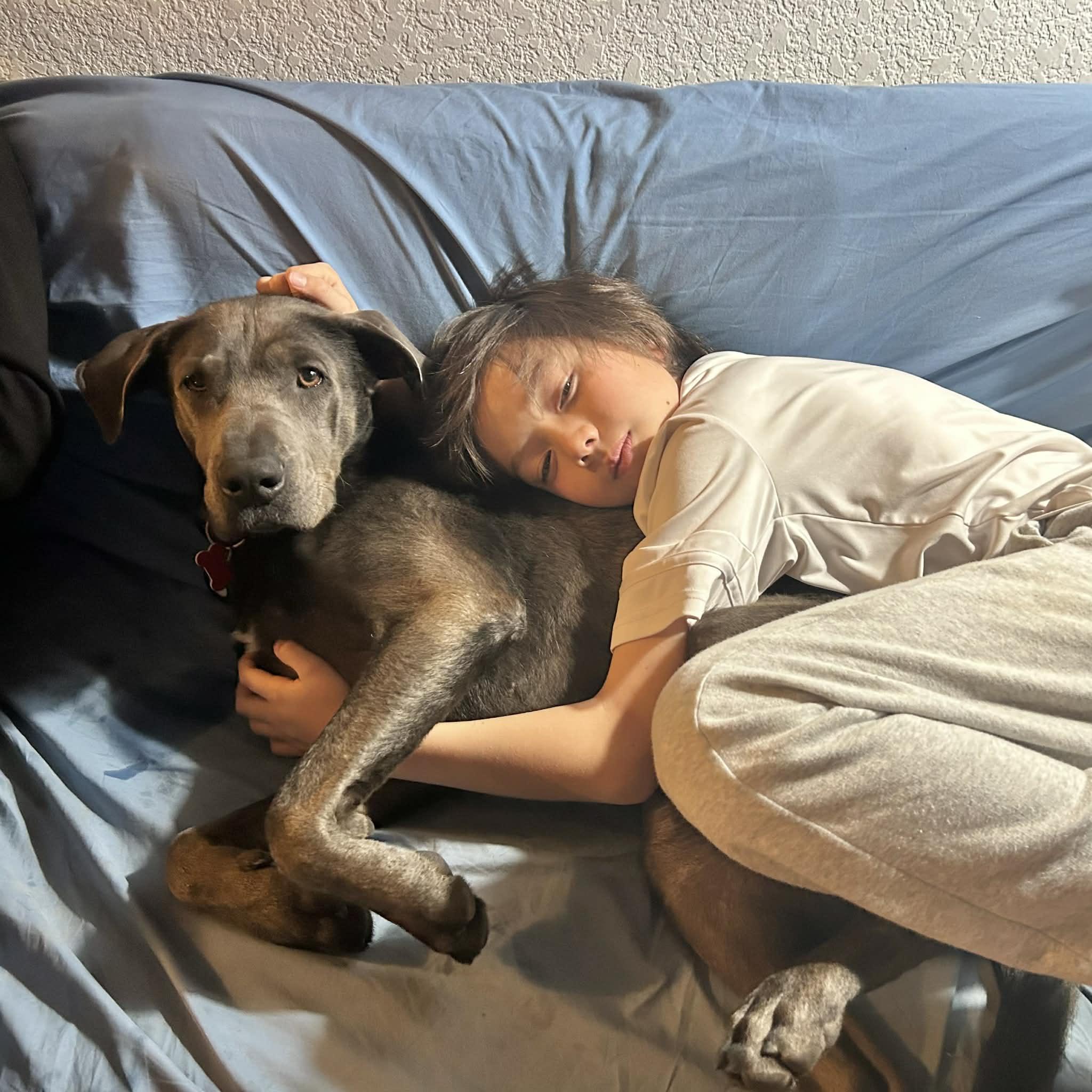 Enlarge Yuki, a ADOPTABLE mixed breed in Boulder, CO image 5/6