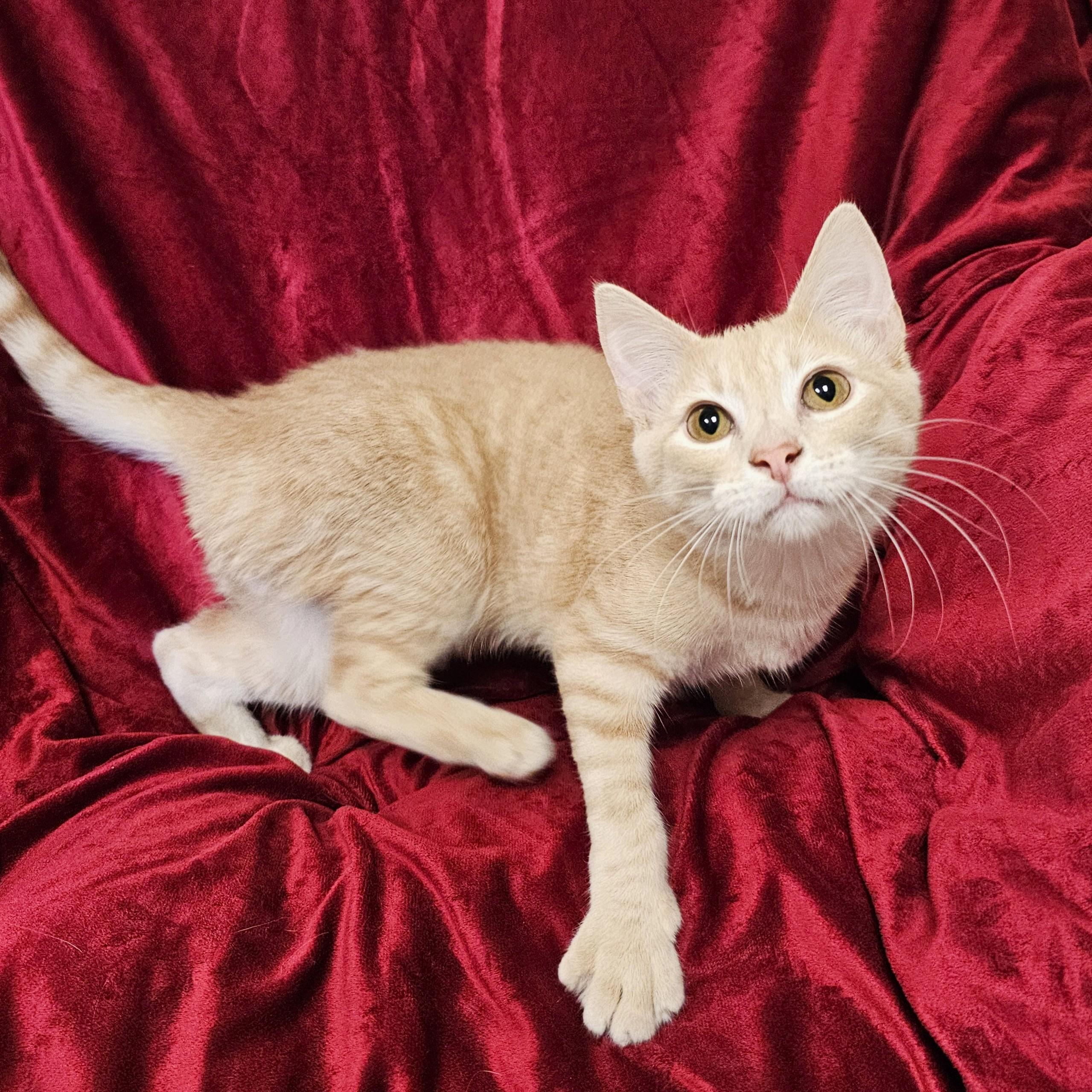 Wally photo