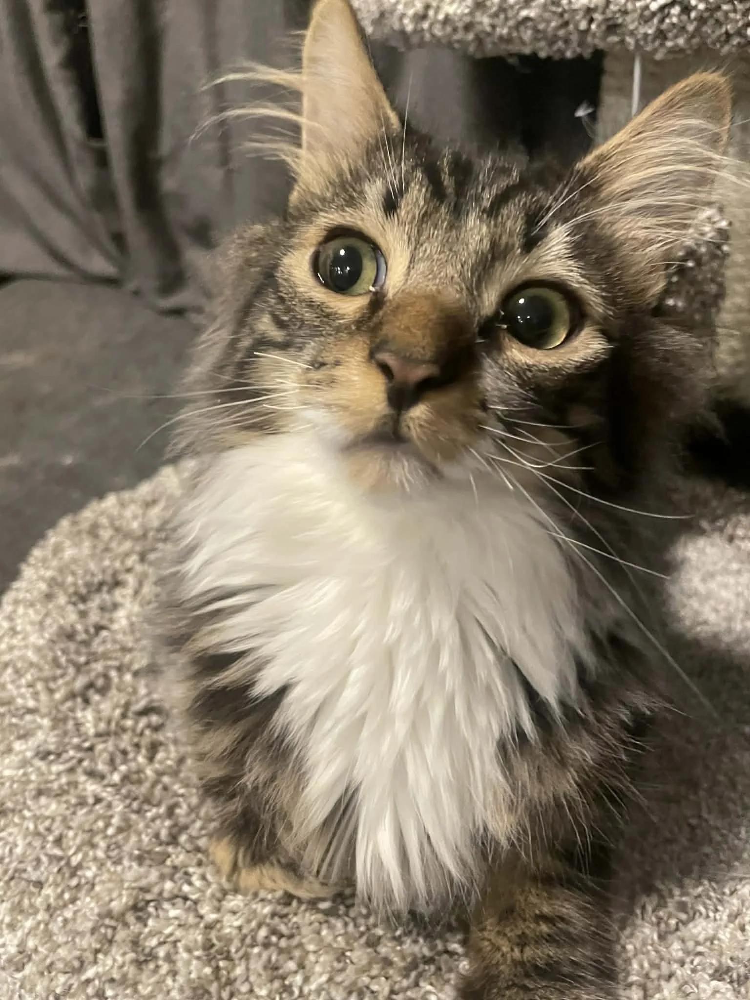 Carl — thumbnail 2