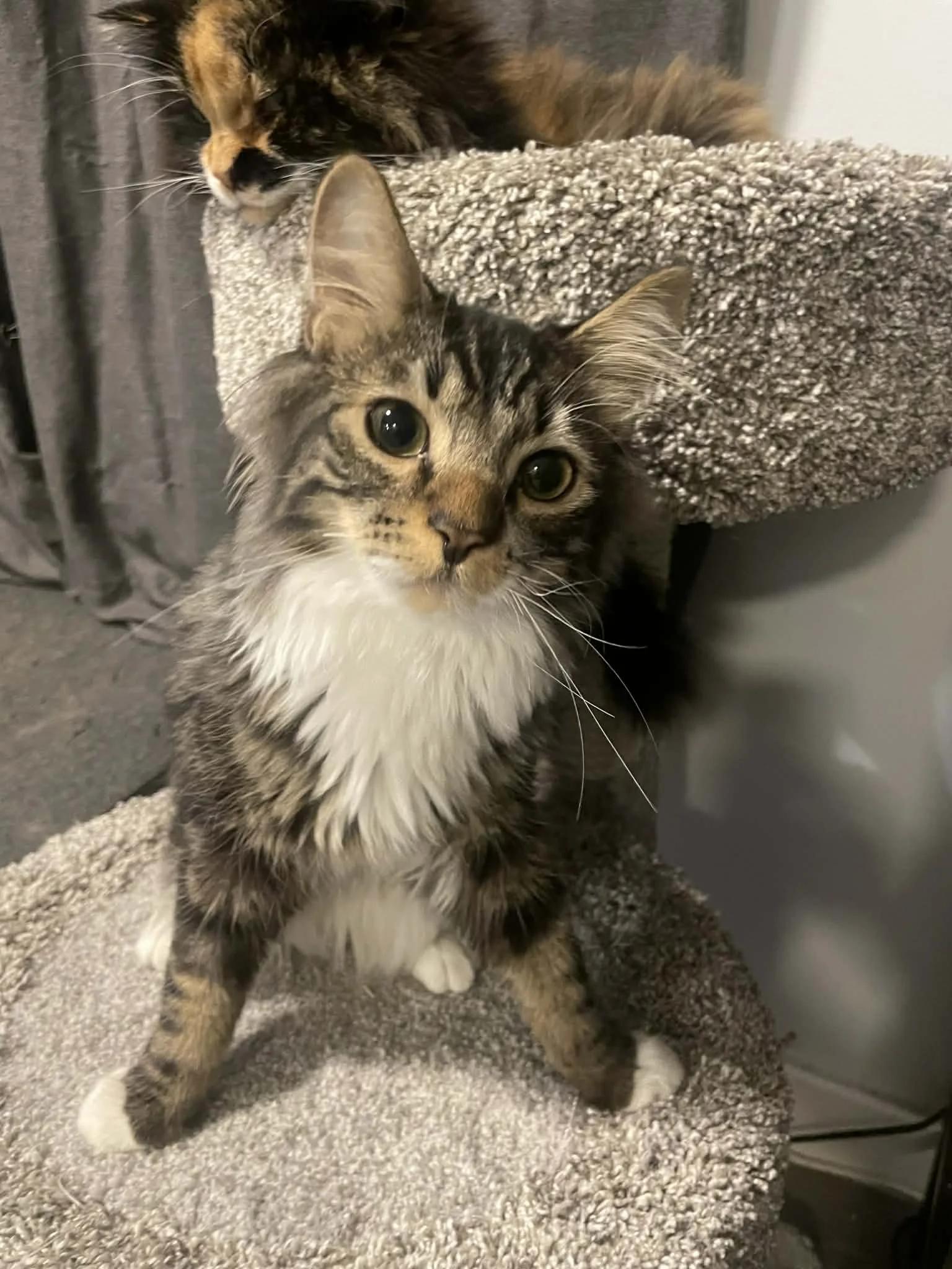 Carl — thumbnail 3