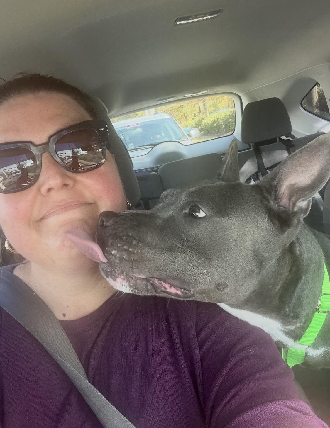 Enlarge Cranberry , a ADOPTABLE mixed breed in atlanta, GA image 5/6