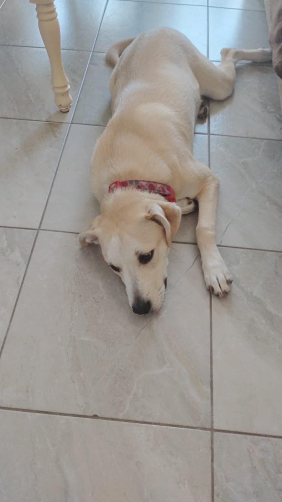 Luna