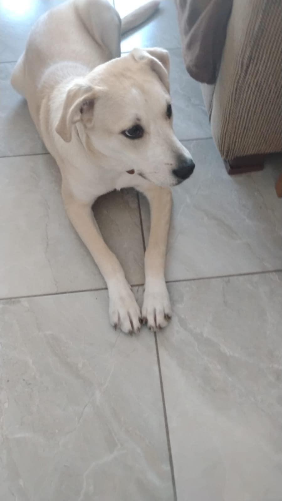 Luna