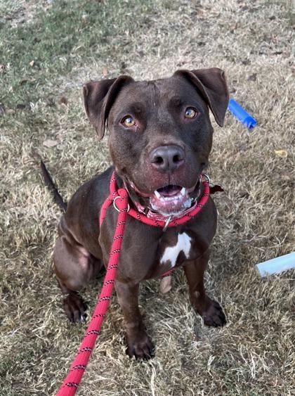 Hot Chocolate — thumbnail 3