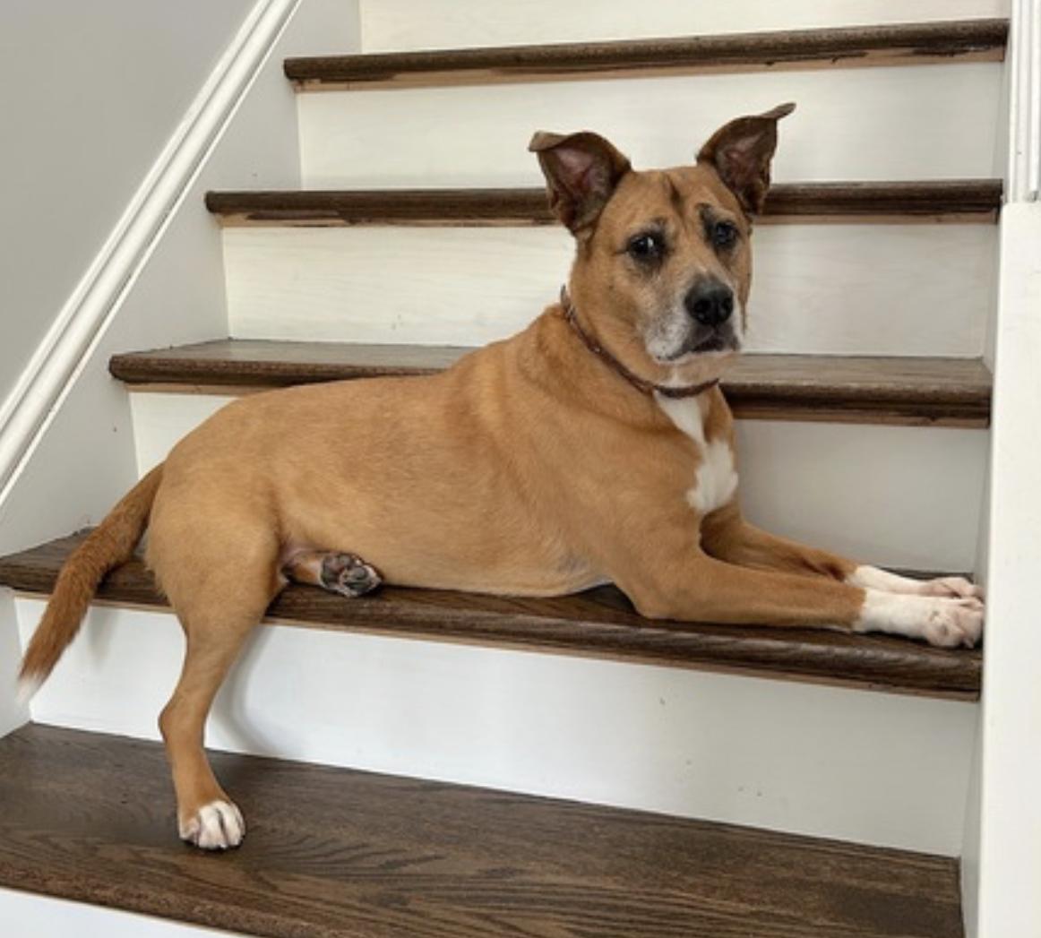 Hayley — thumbnail 2