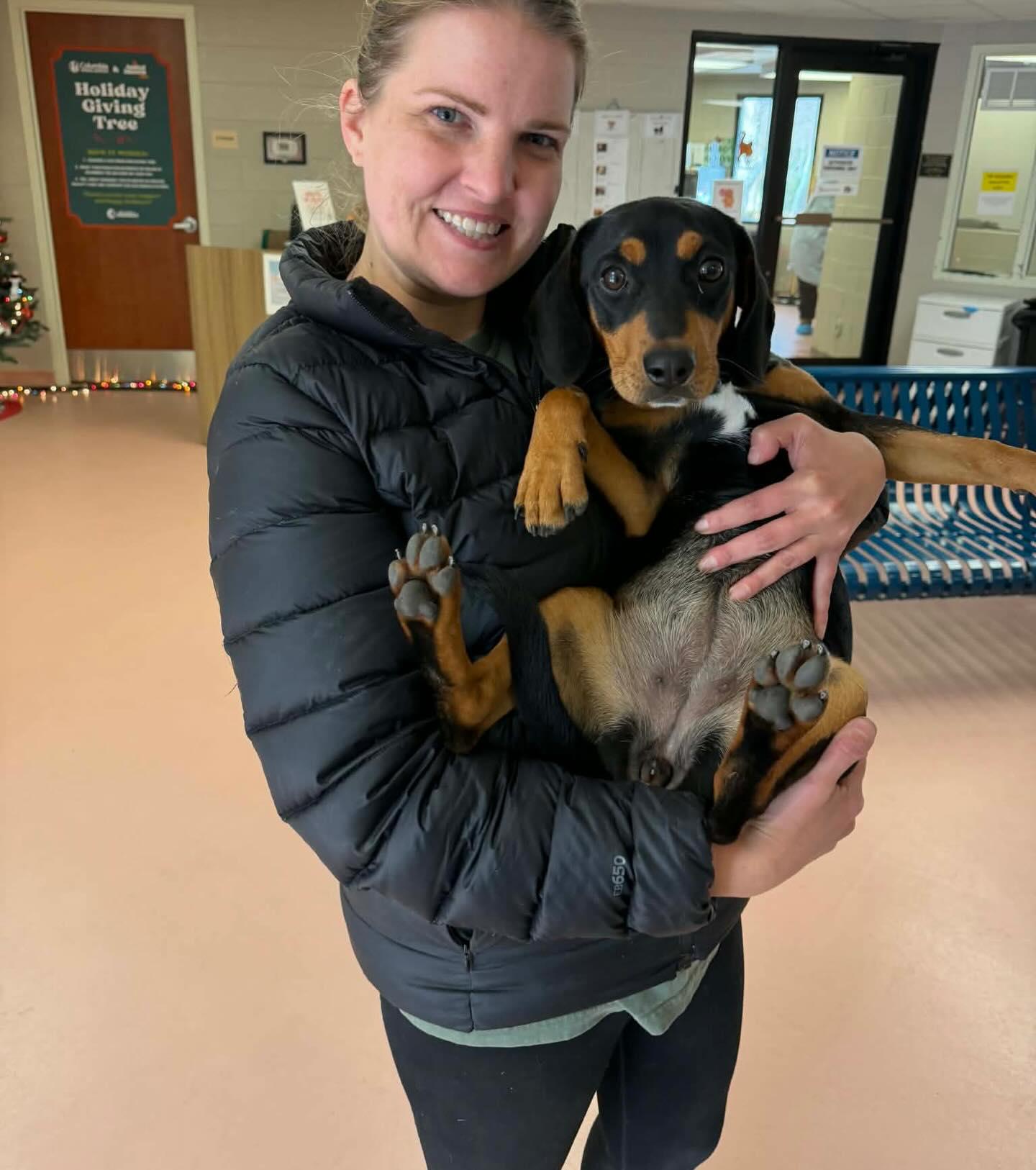 Enlarge Posey, an adopted Mixed Breed in St. Albans, VT image 2/3