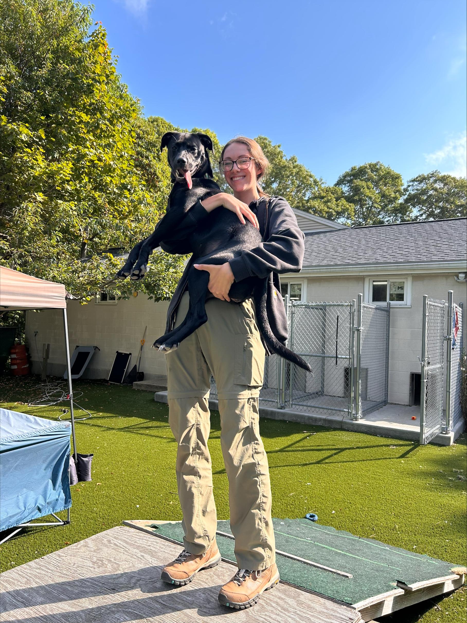 Sadie, a ADOPTABLE mixed breed in Plymouth, MA image 5/5