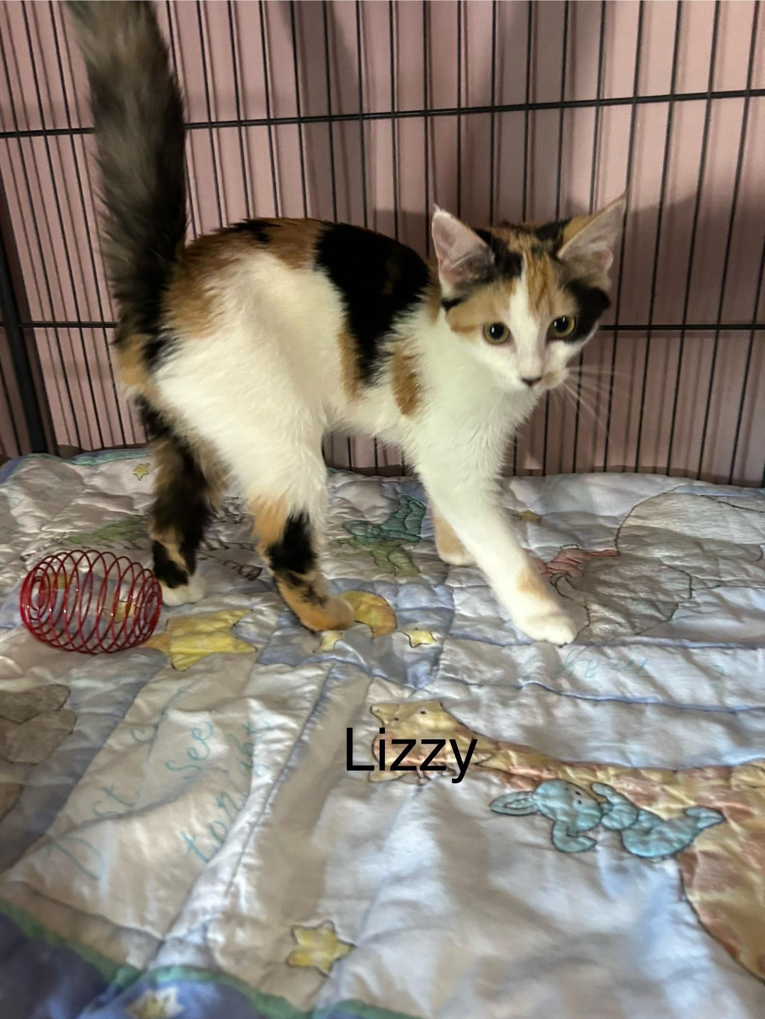 Lizzy
