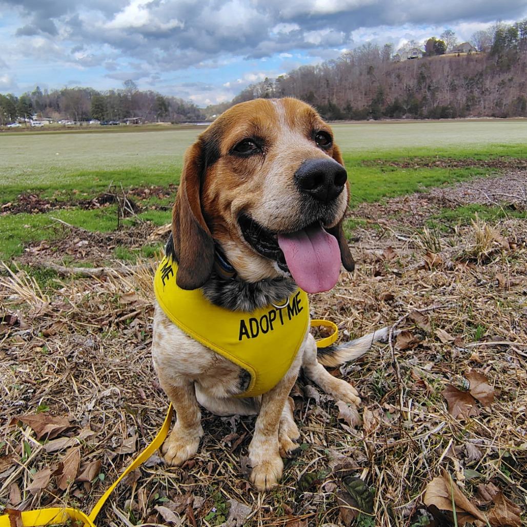 Dallas — thumbnail 6