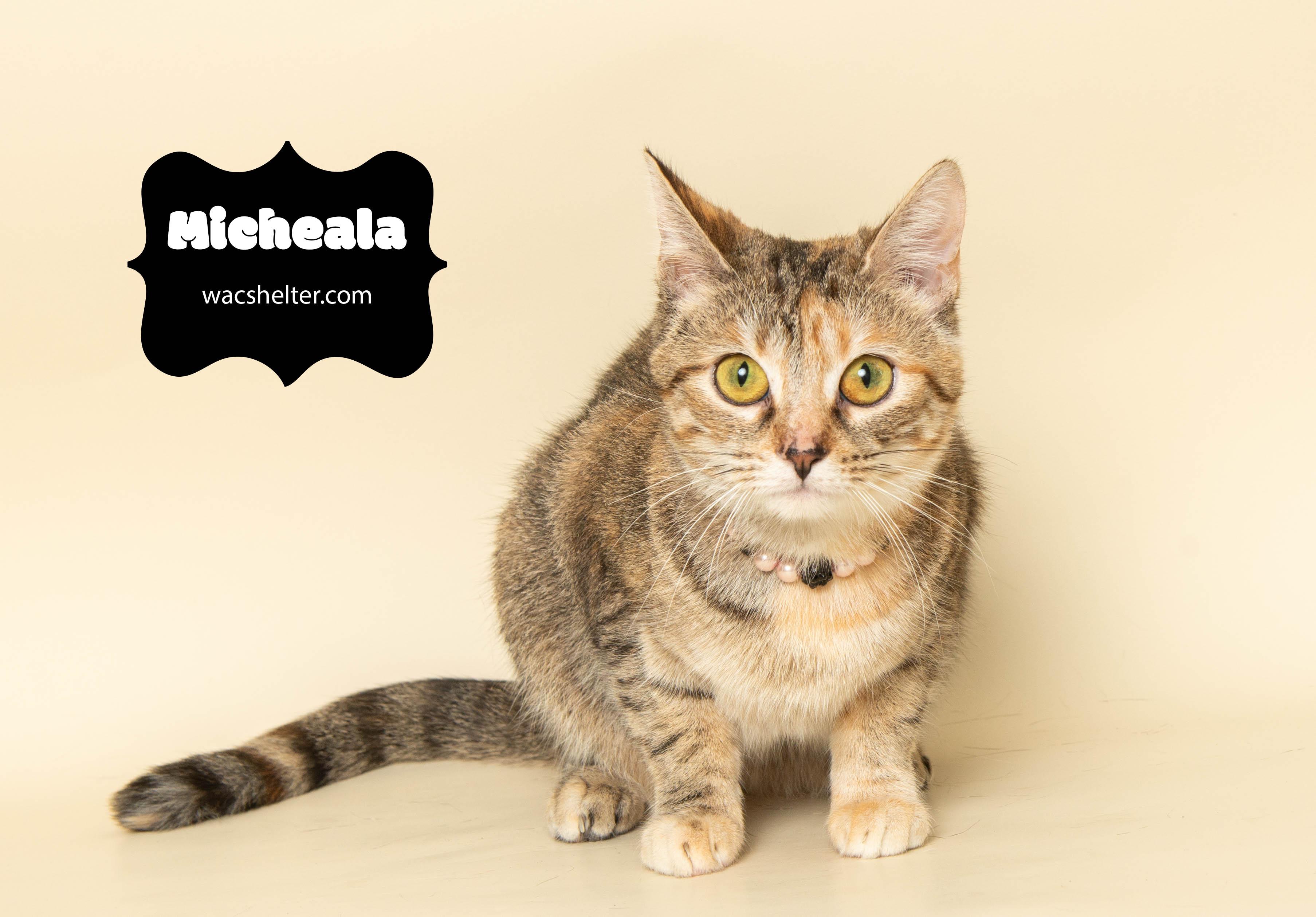 MICHAELA (Misses having a home)