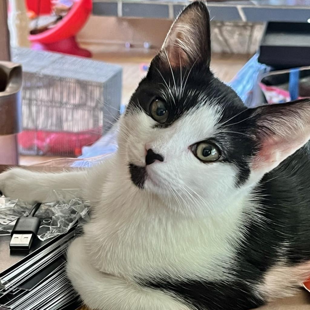 Fiskars — thumbnail 2