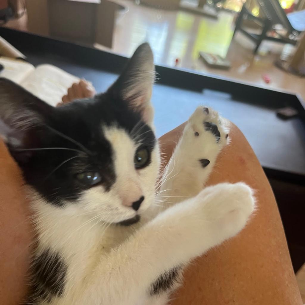 Fiskars — thumbnail 3