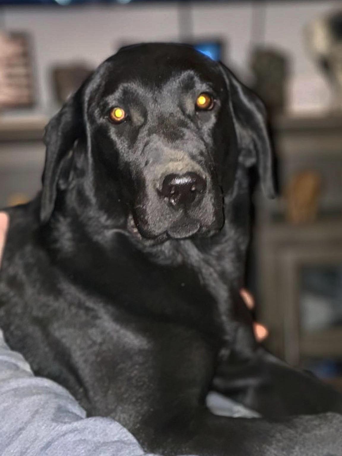 Marley