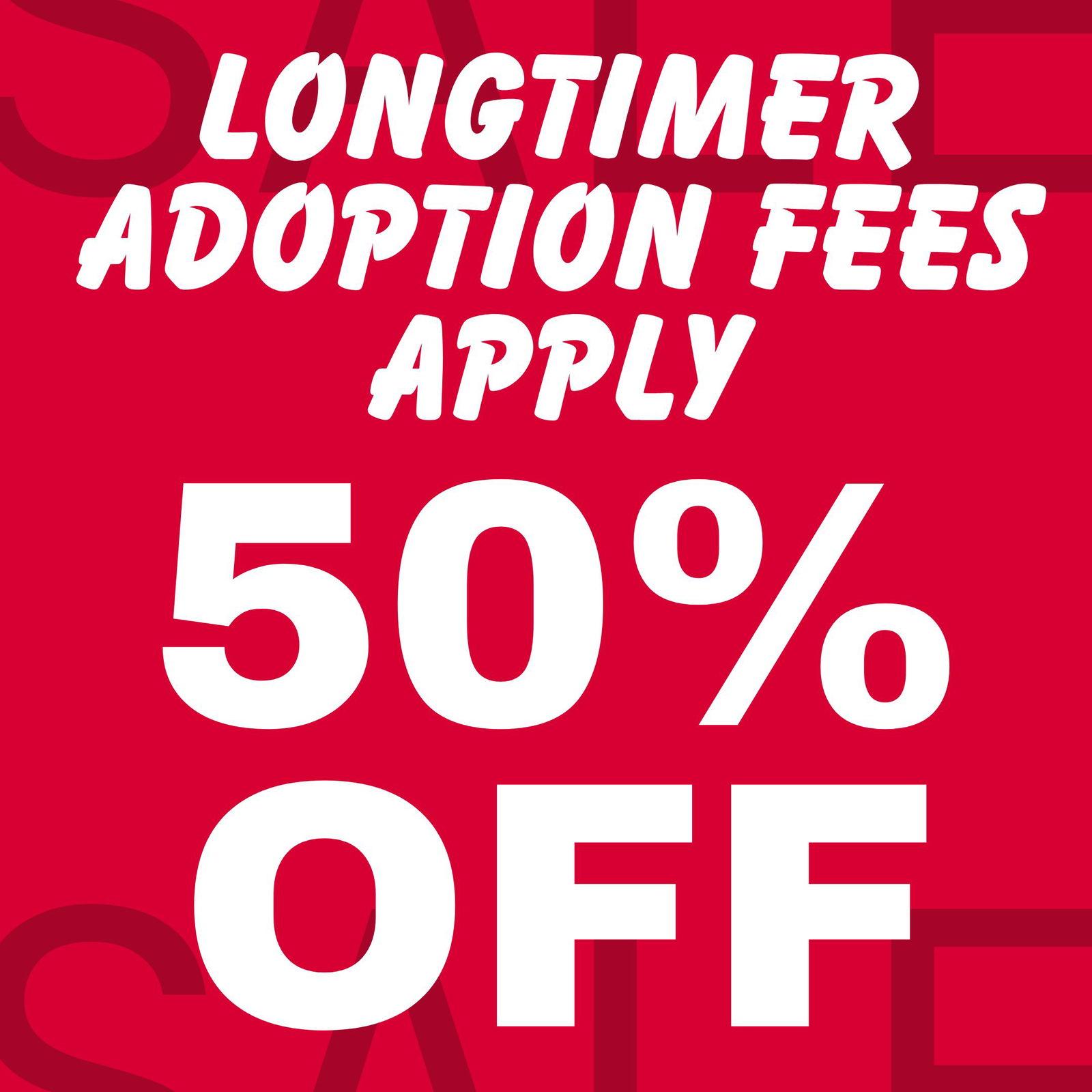 Enlarge Poppi, a Adoptable German Shepherd Dog in Queen Creek, AZ image 1/3