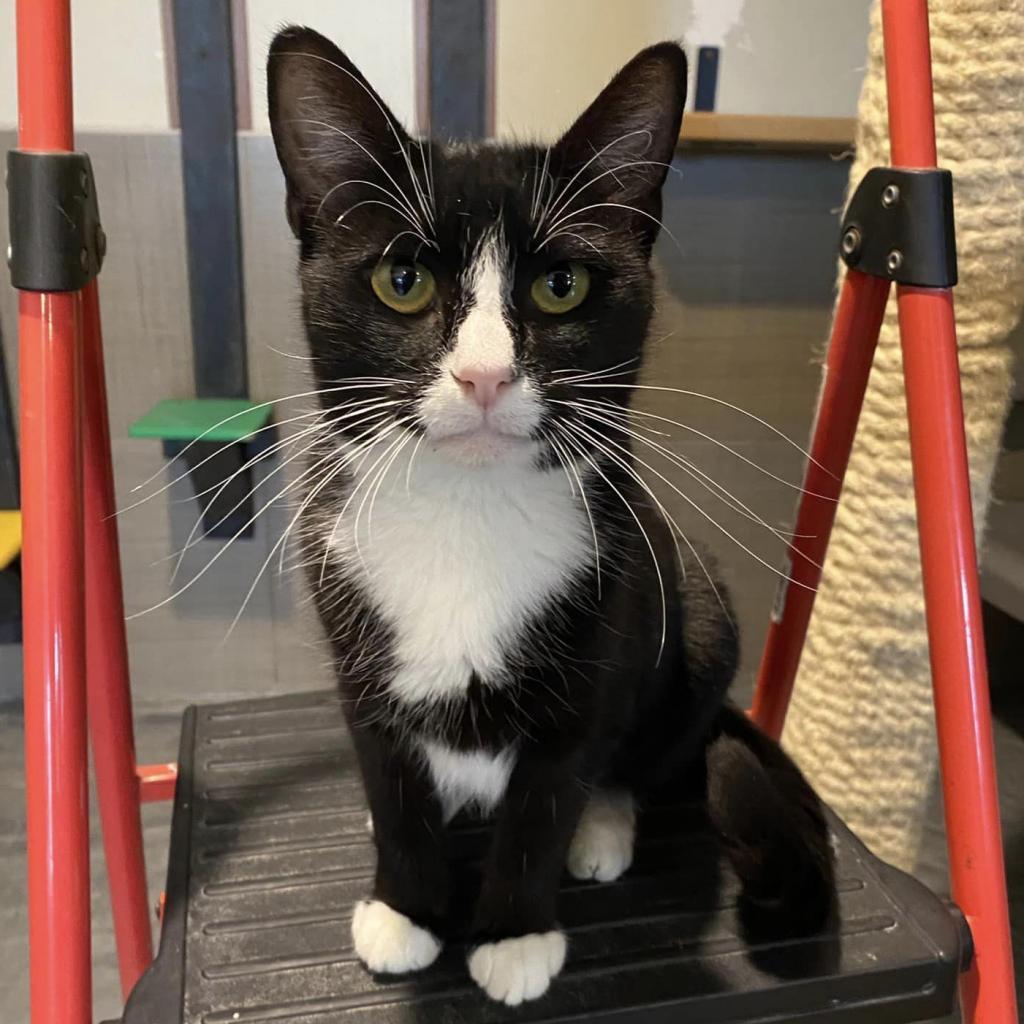 Jane Bond — thumbnail 5