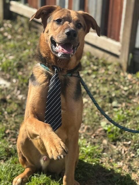 Roscoe — thumbnail 2