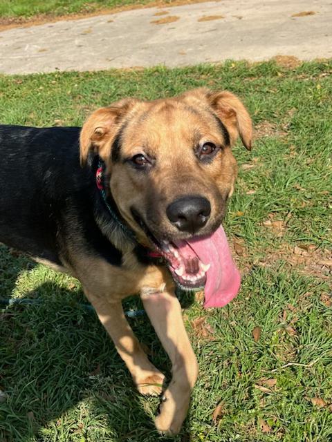 Roscoe — thumbnail 3