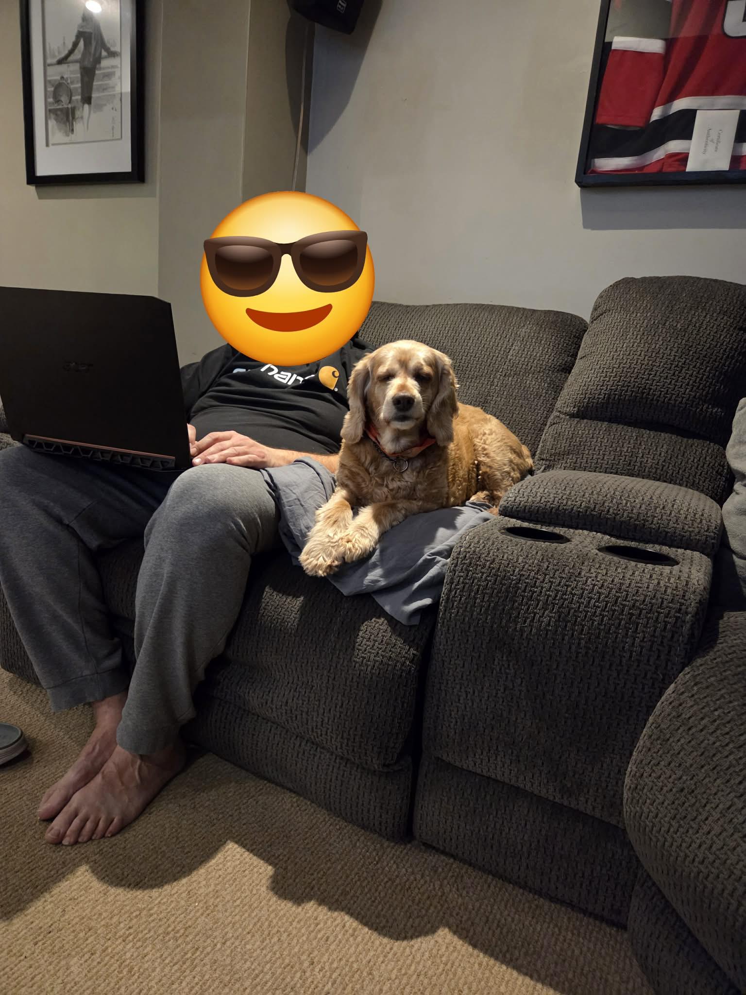 Enlarge Mabel, a ADOPTABLE Cocker Spaniel in Mississauga, ON image 3/5