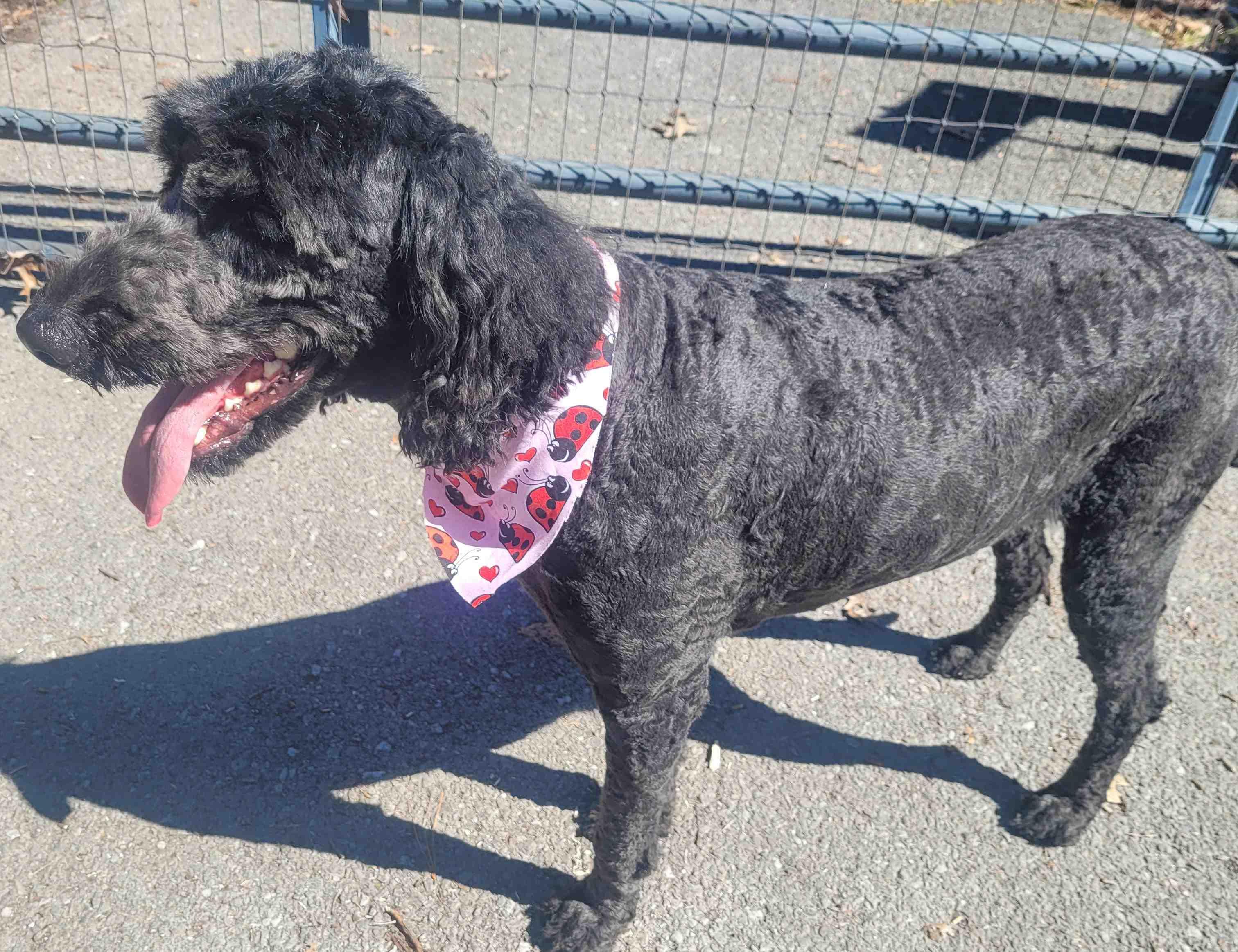 Raisin — thumbnail 2