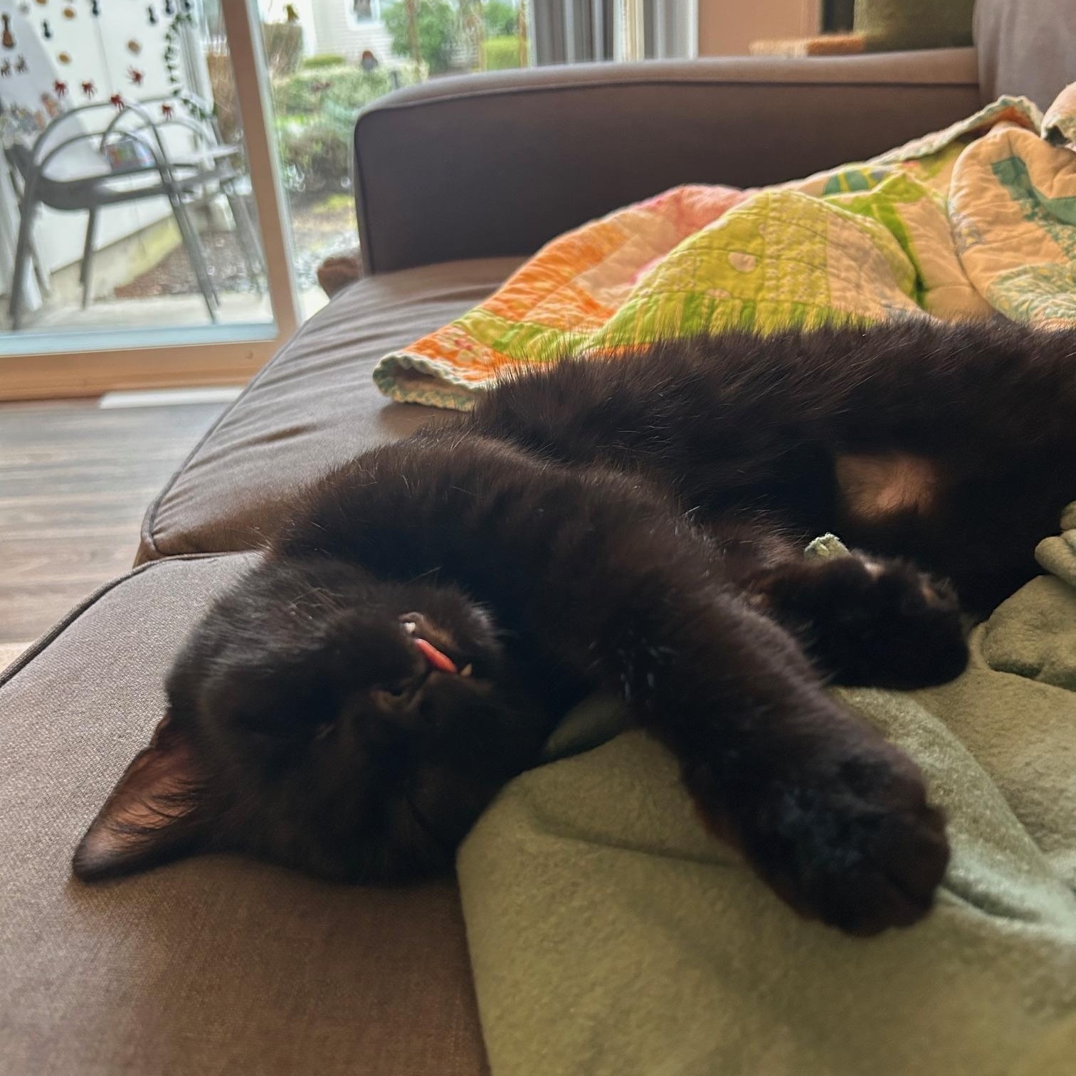 Mocha — thumbnail 5