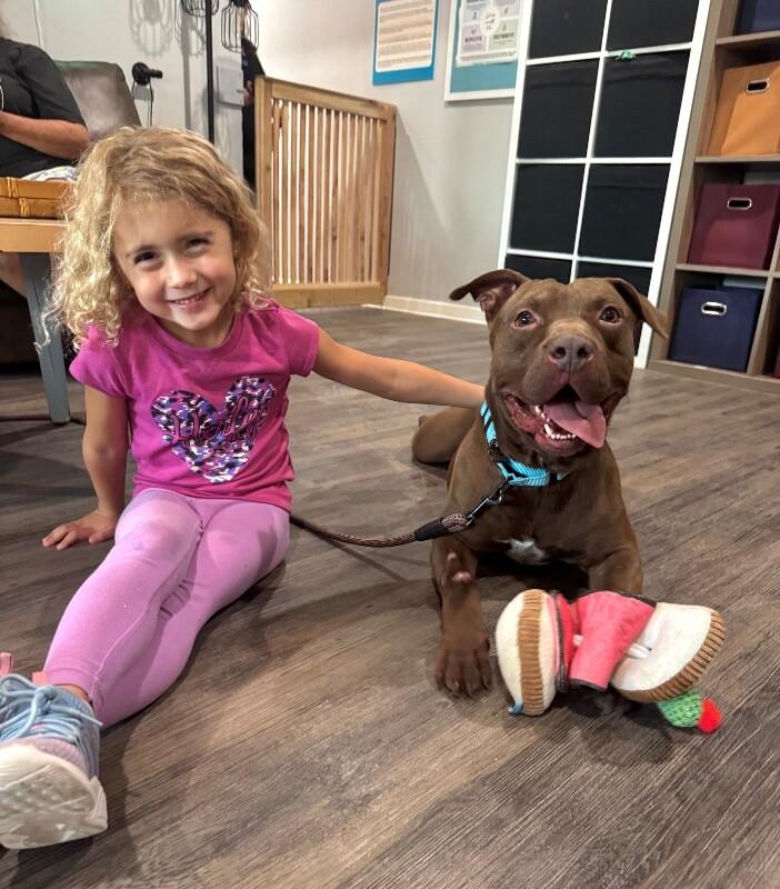 Ernie Sploots for You