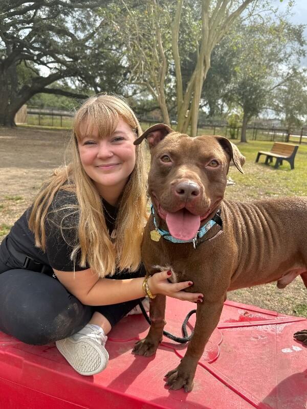 Ernie Sploots for You — thumbnail 4