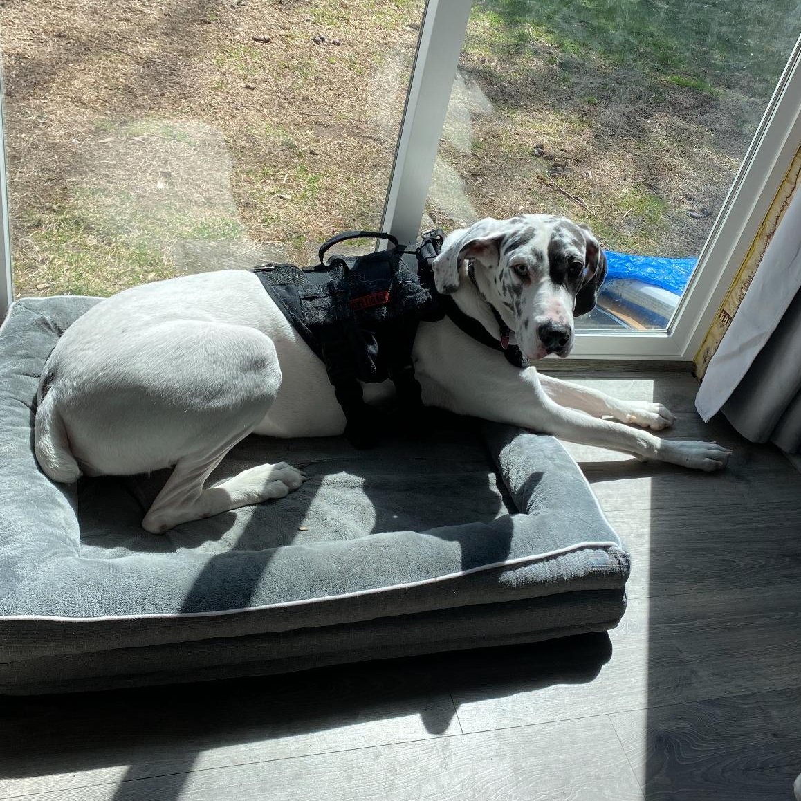 Ellie