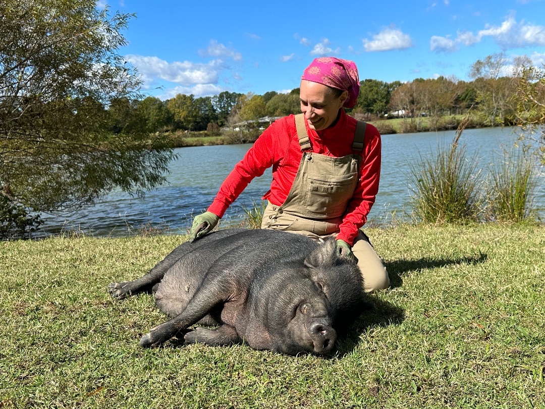 Poppy Seed, a Adoptable Pot Bellied in Durham, NC image 2/2