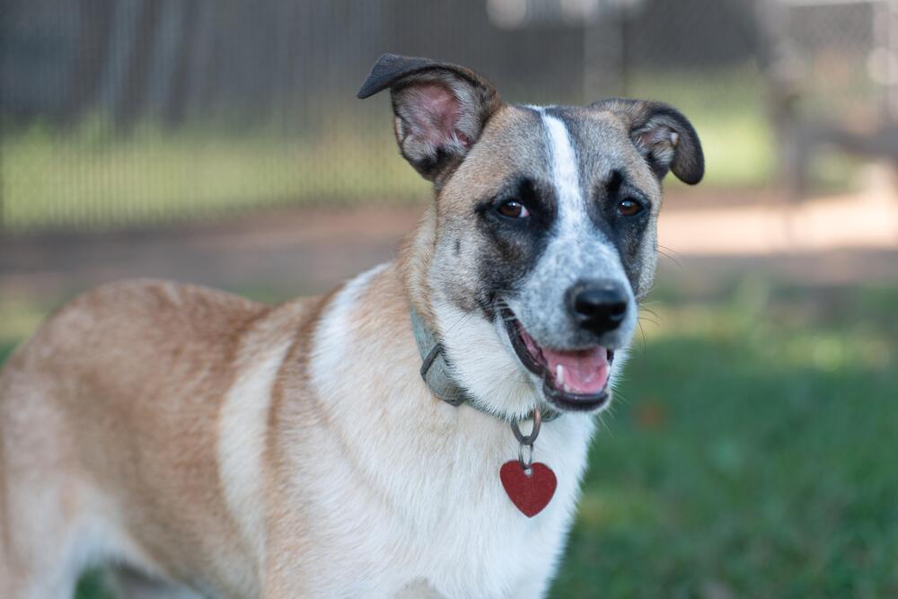 Mystique — thumbnail 3