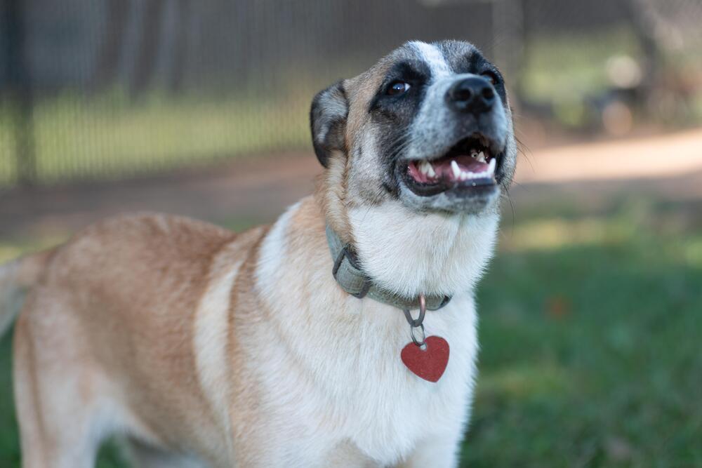 Mystique — thumbnail 4