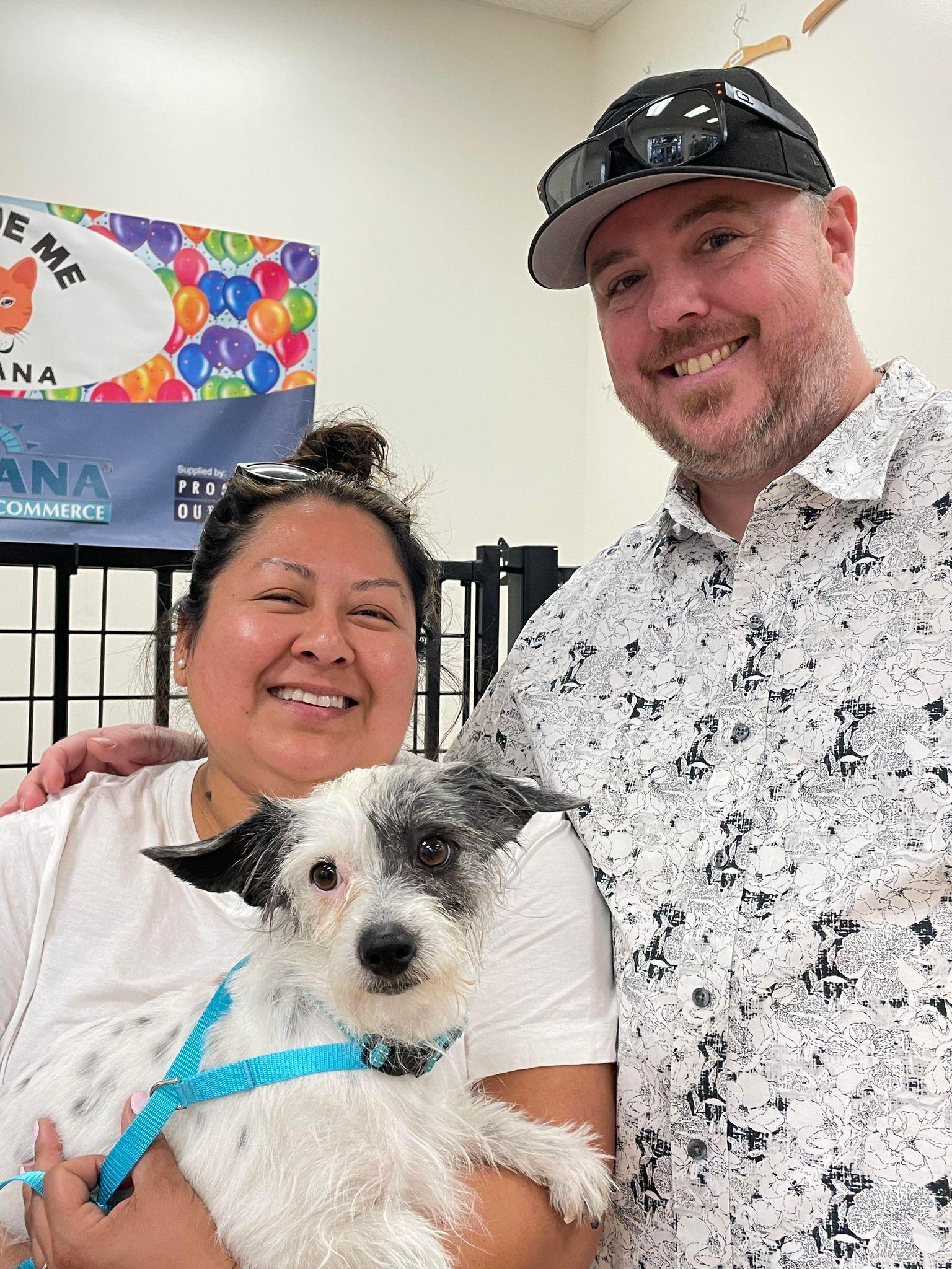 Forrest, Adopted, Adult Male Chinese Crested Dog.