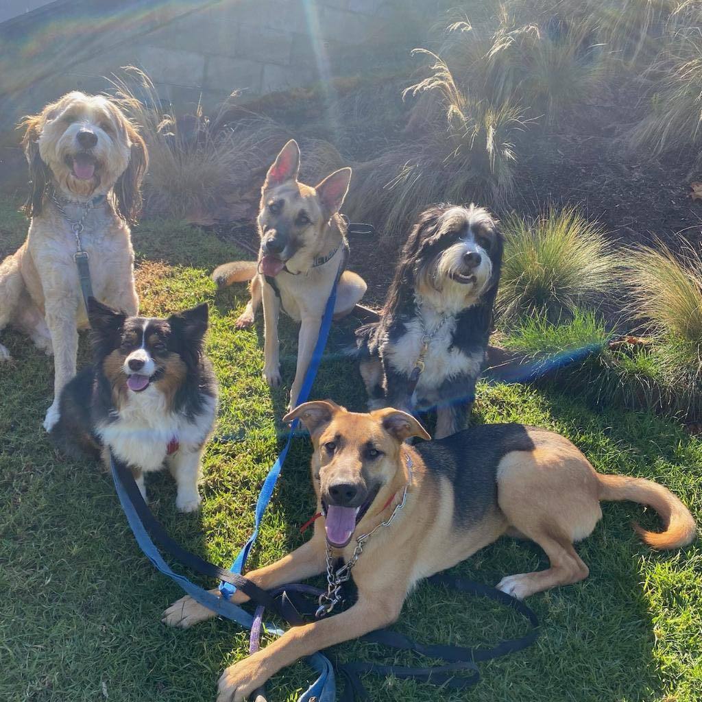 Puttin' On The Blitz!! thumbnail 3