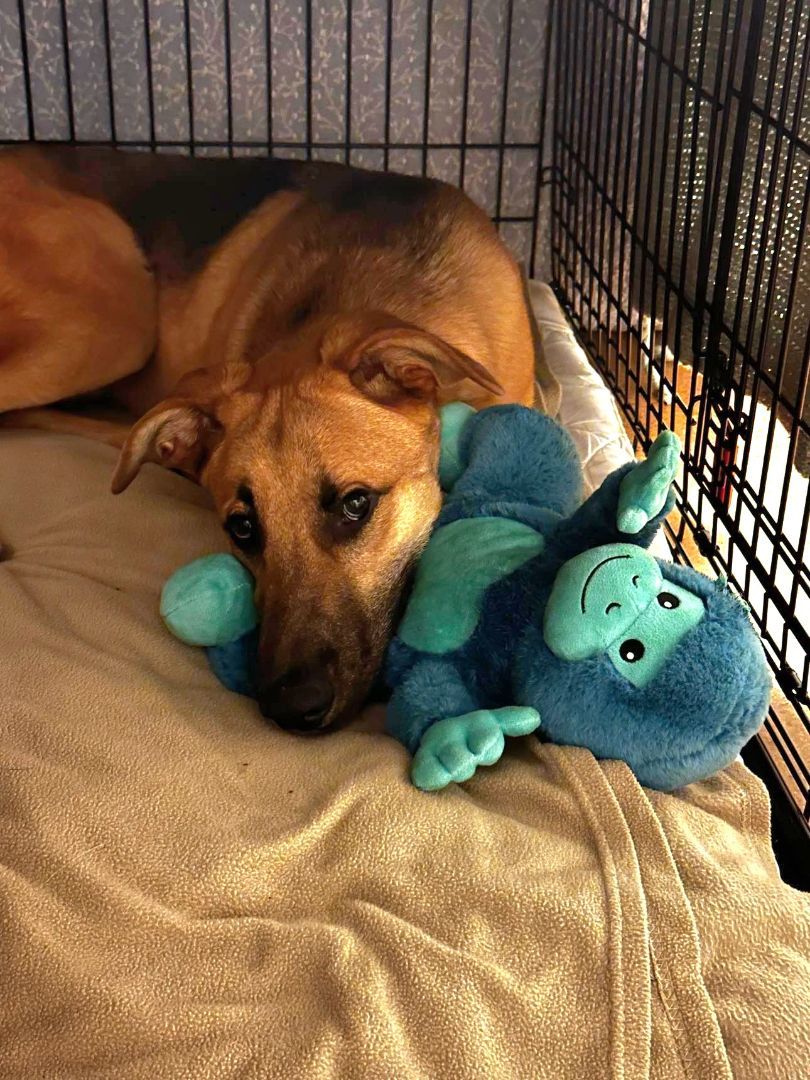 Puttin' On The Blitz!! thumbnail 4