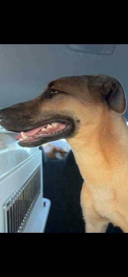 Puttin' On The Blitz!! thumbnail 5