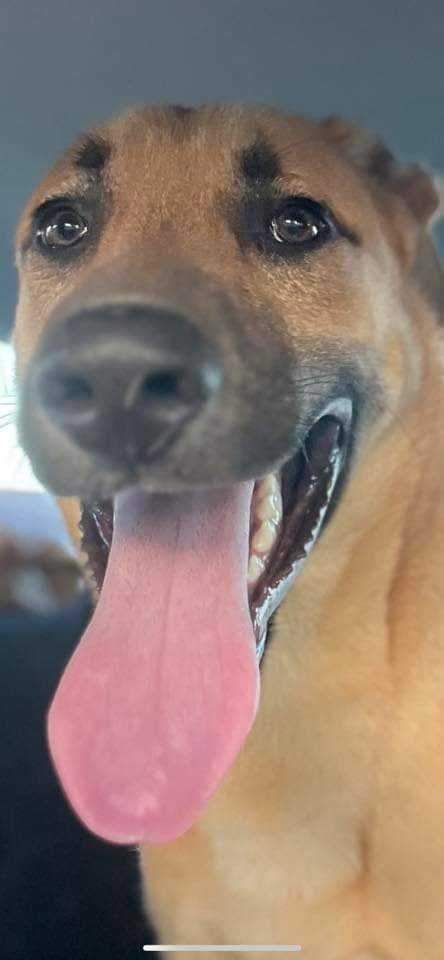 Puttin' On The Blitz!! thumbnail 6