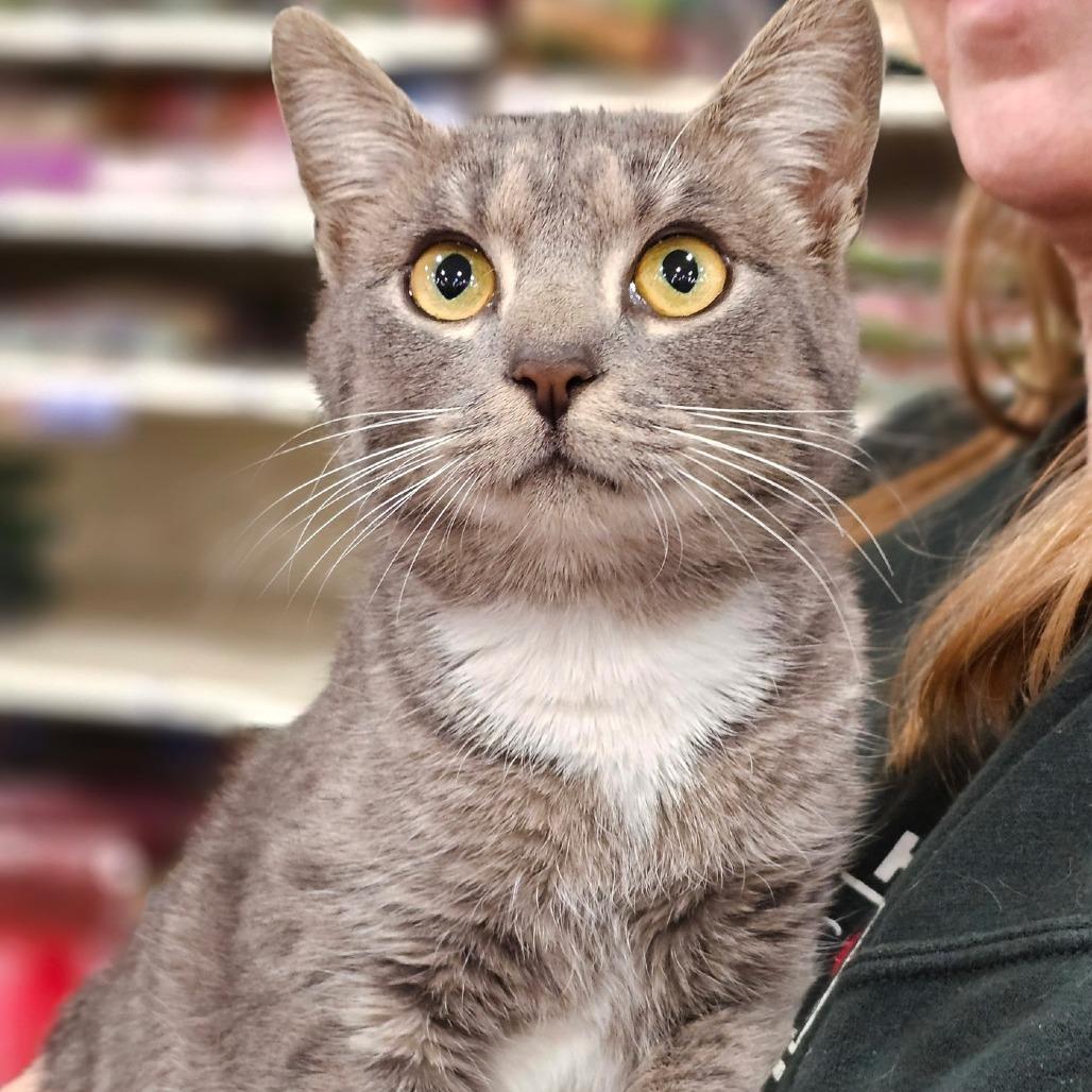 Nala — thumbnail 2