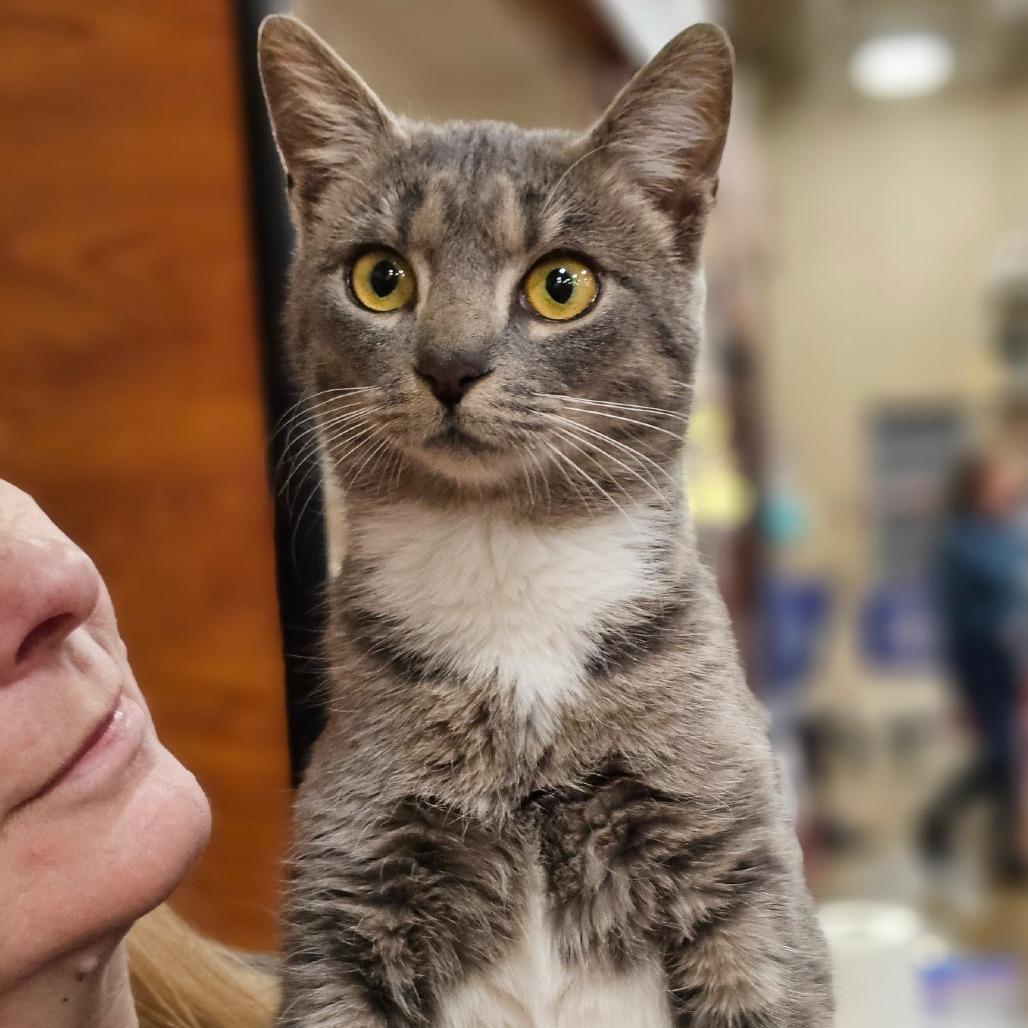 Nala — thumbnail 3