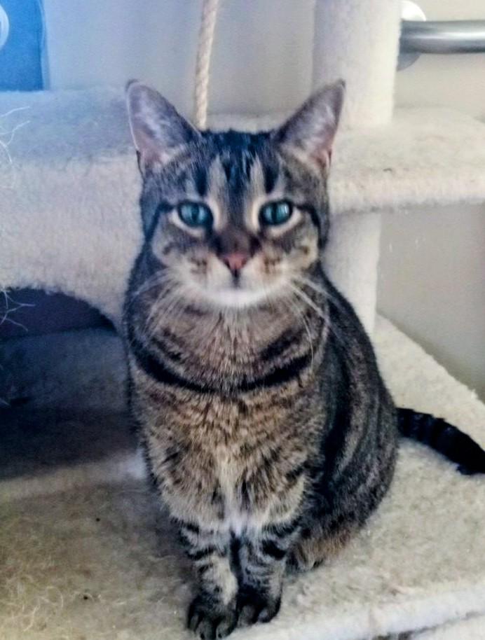 Lilly