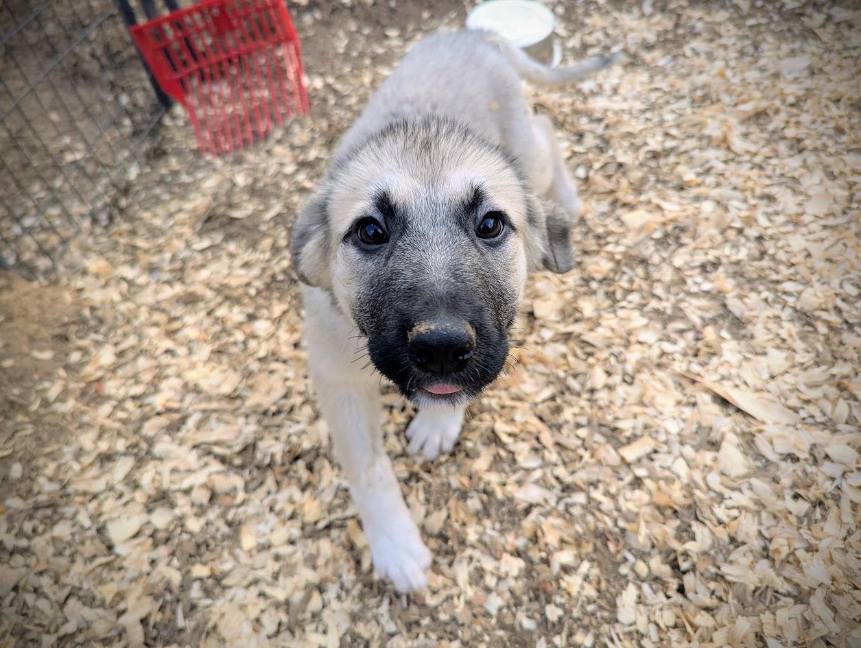 GHIRADELLI — thumbnail 3