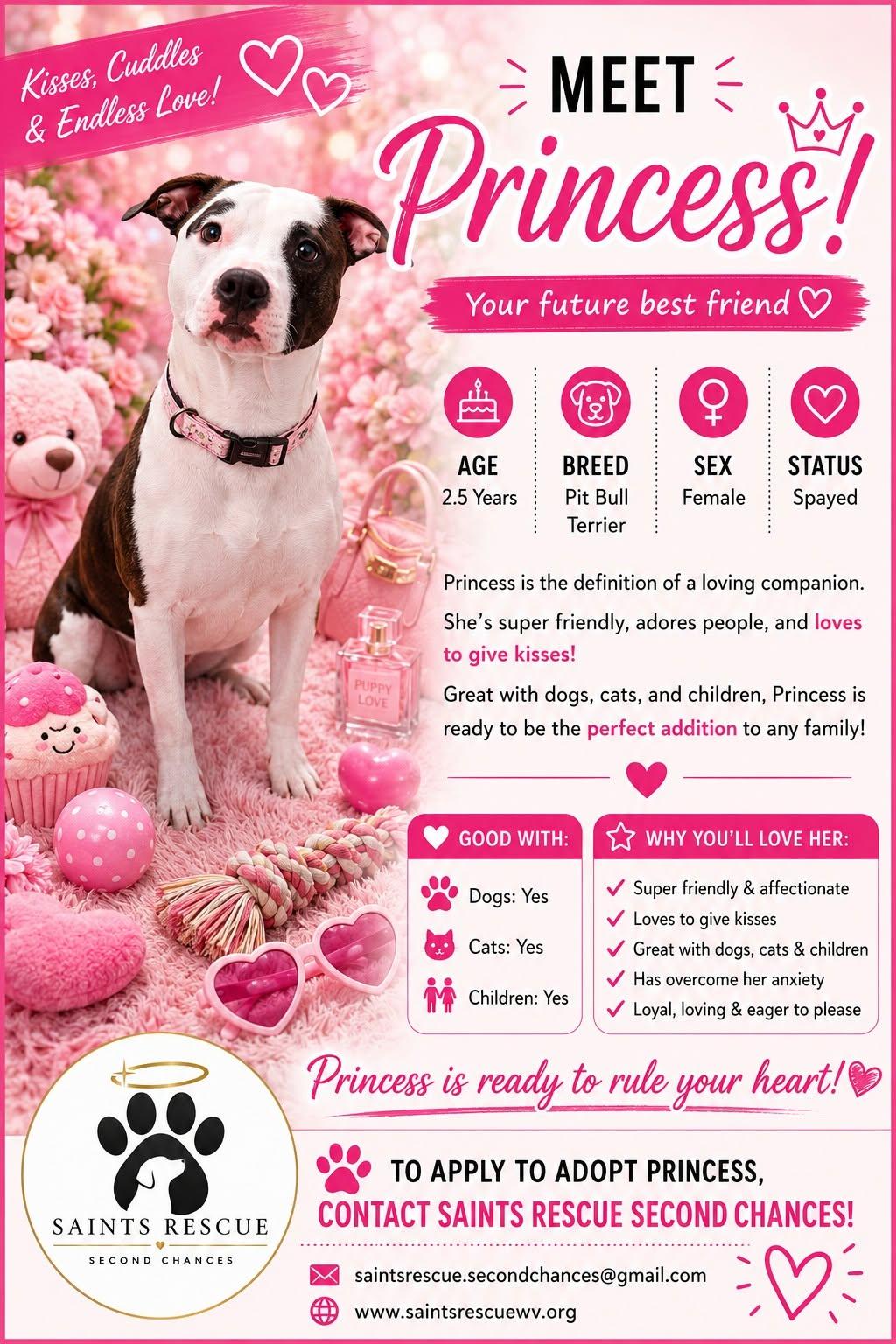 PRINNY (PRINCESS), a ADOPTABLE Pit Bull Terrier in Weirton, WV image 2/3