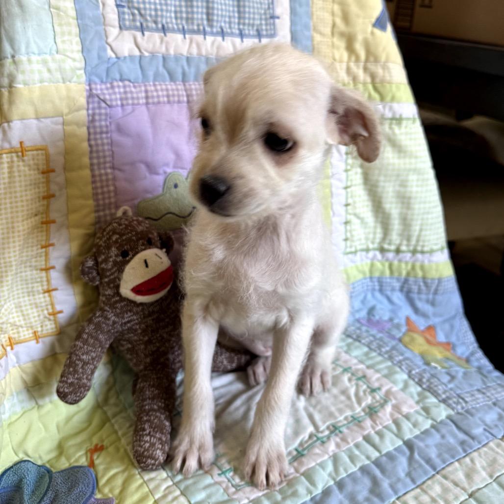 Sasha — thumbnail 3