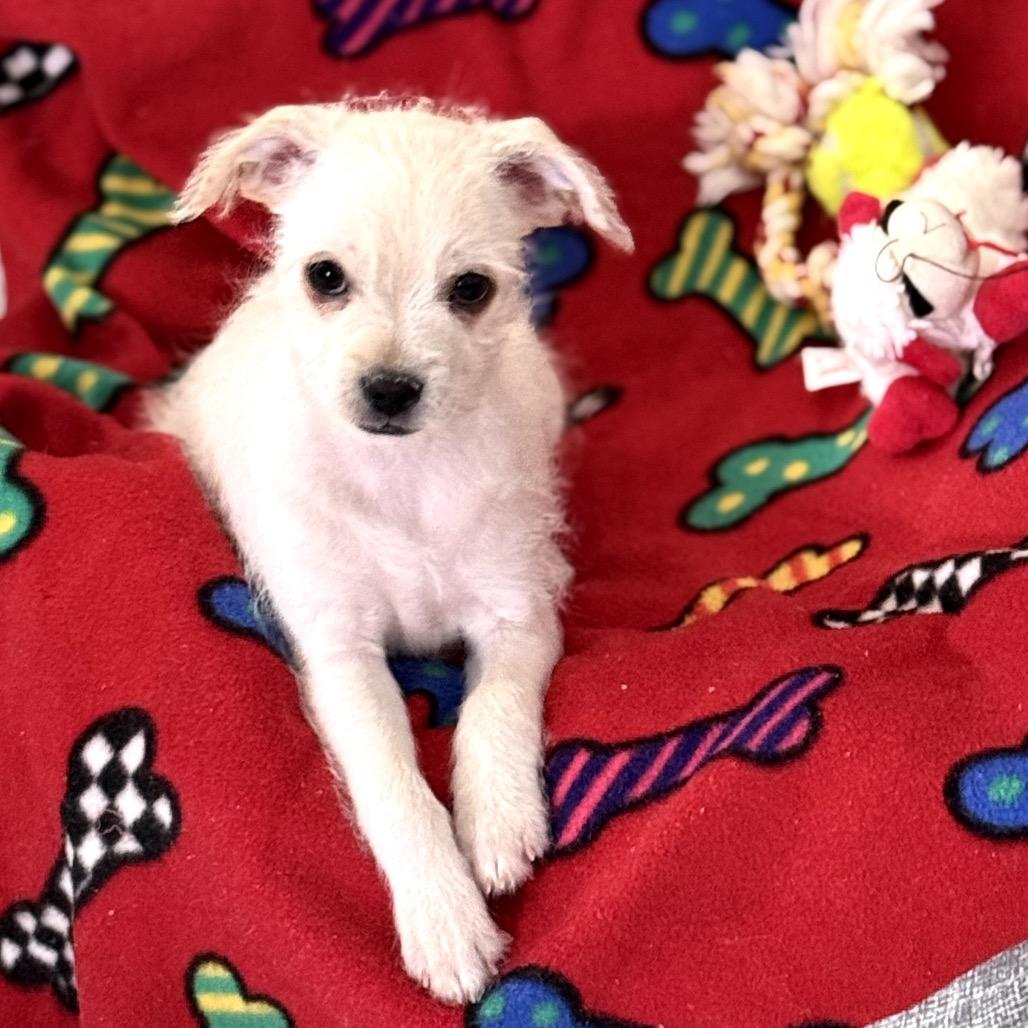 Sasha — thumbnail 5