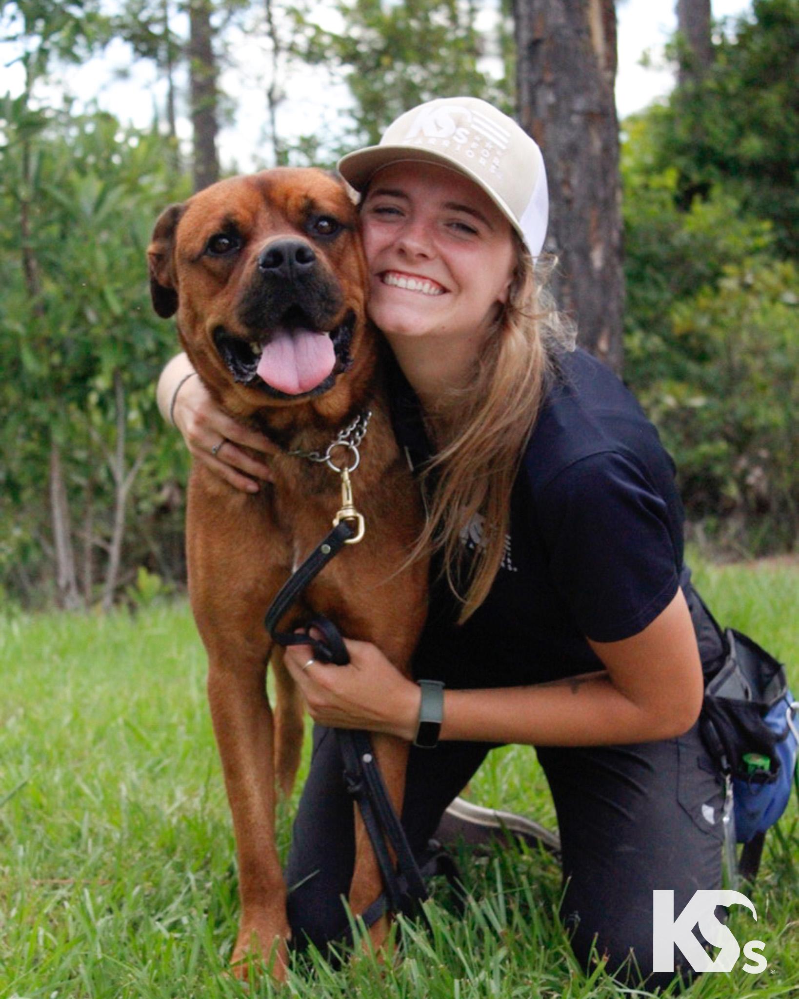 Felix, a Adoptable mixed breed in Ponte Vedra, FL image 2/6