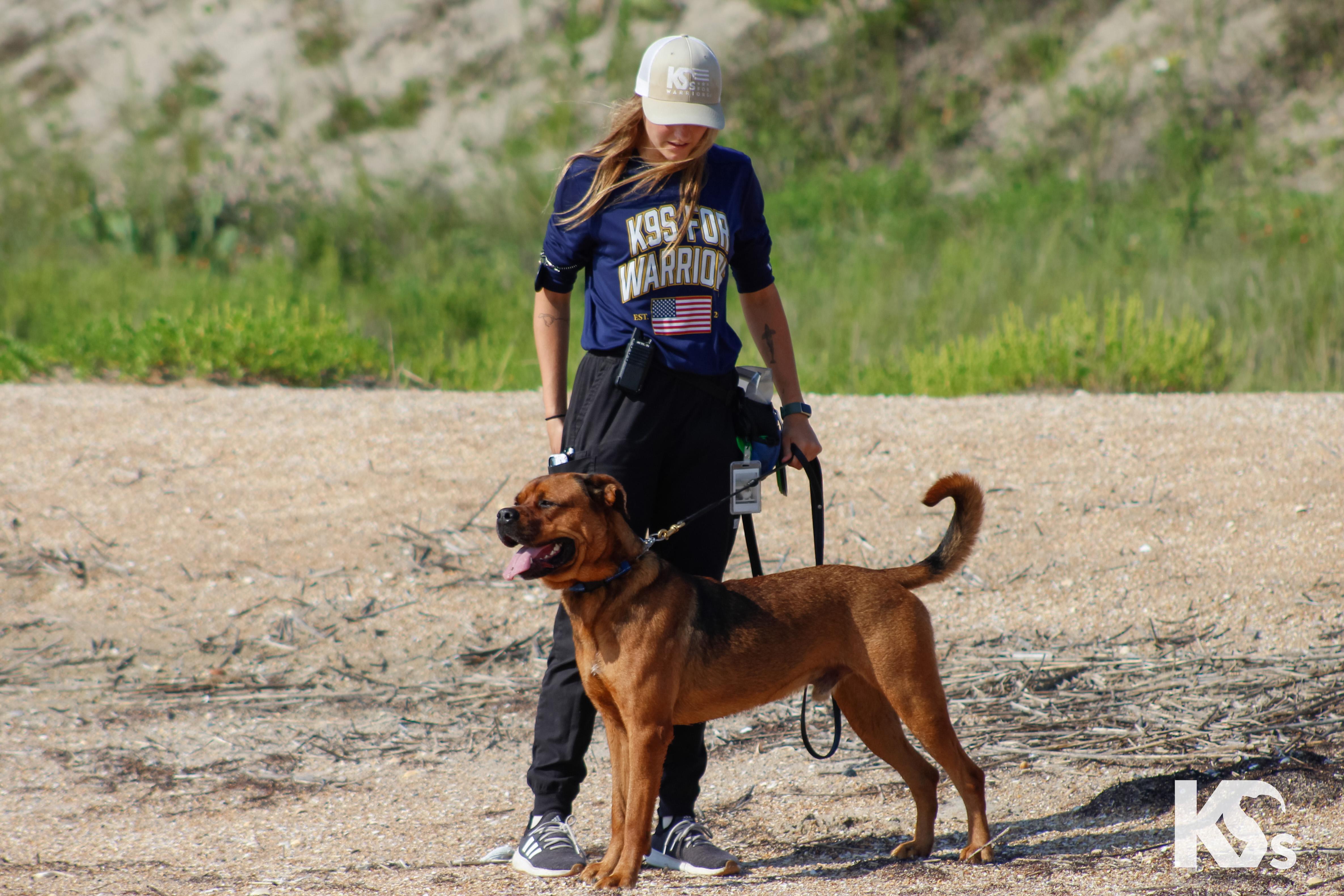 Felix, a Adoptable mixed breed in Ponte Vedra, FL image 6/6
