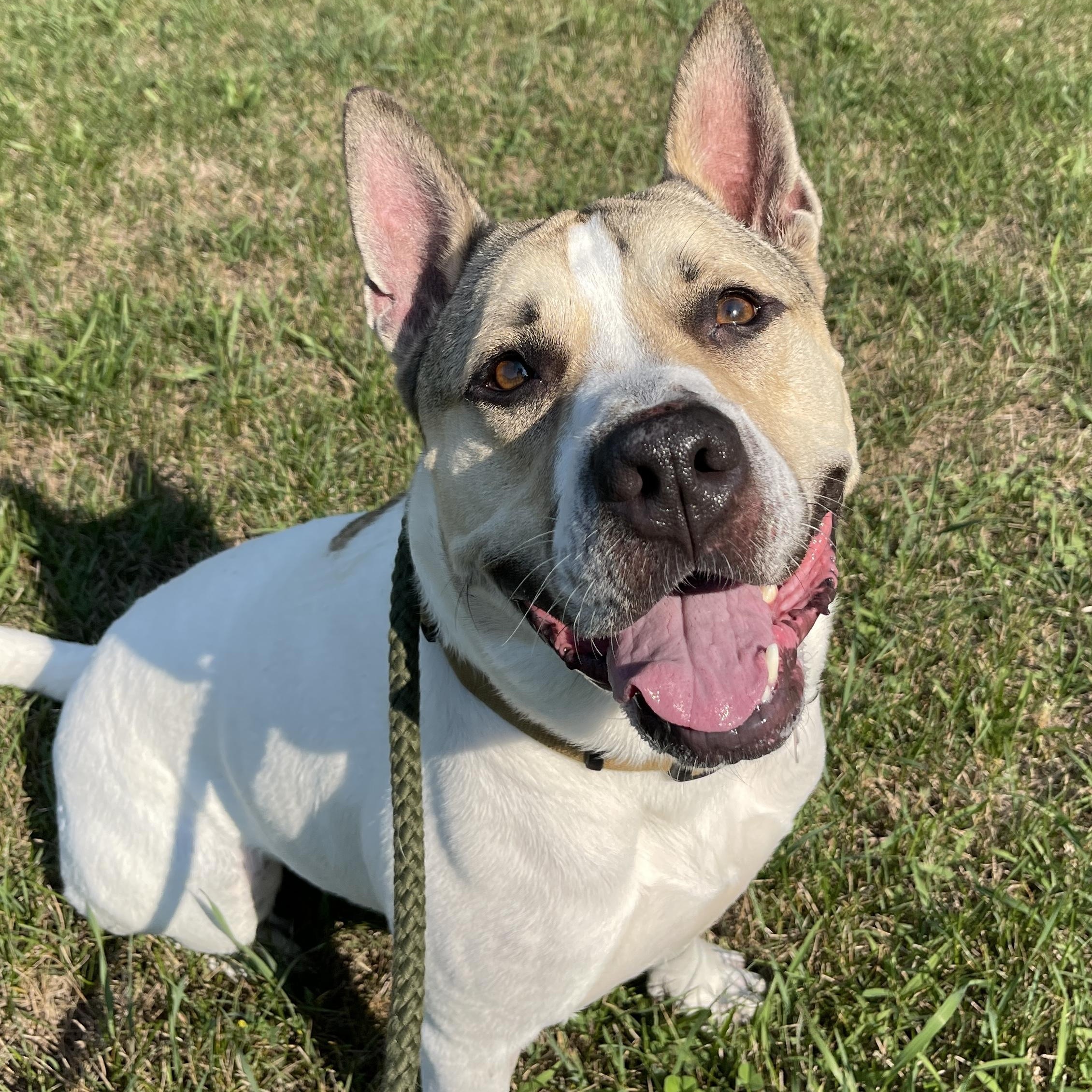 Bubba