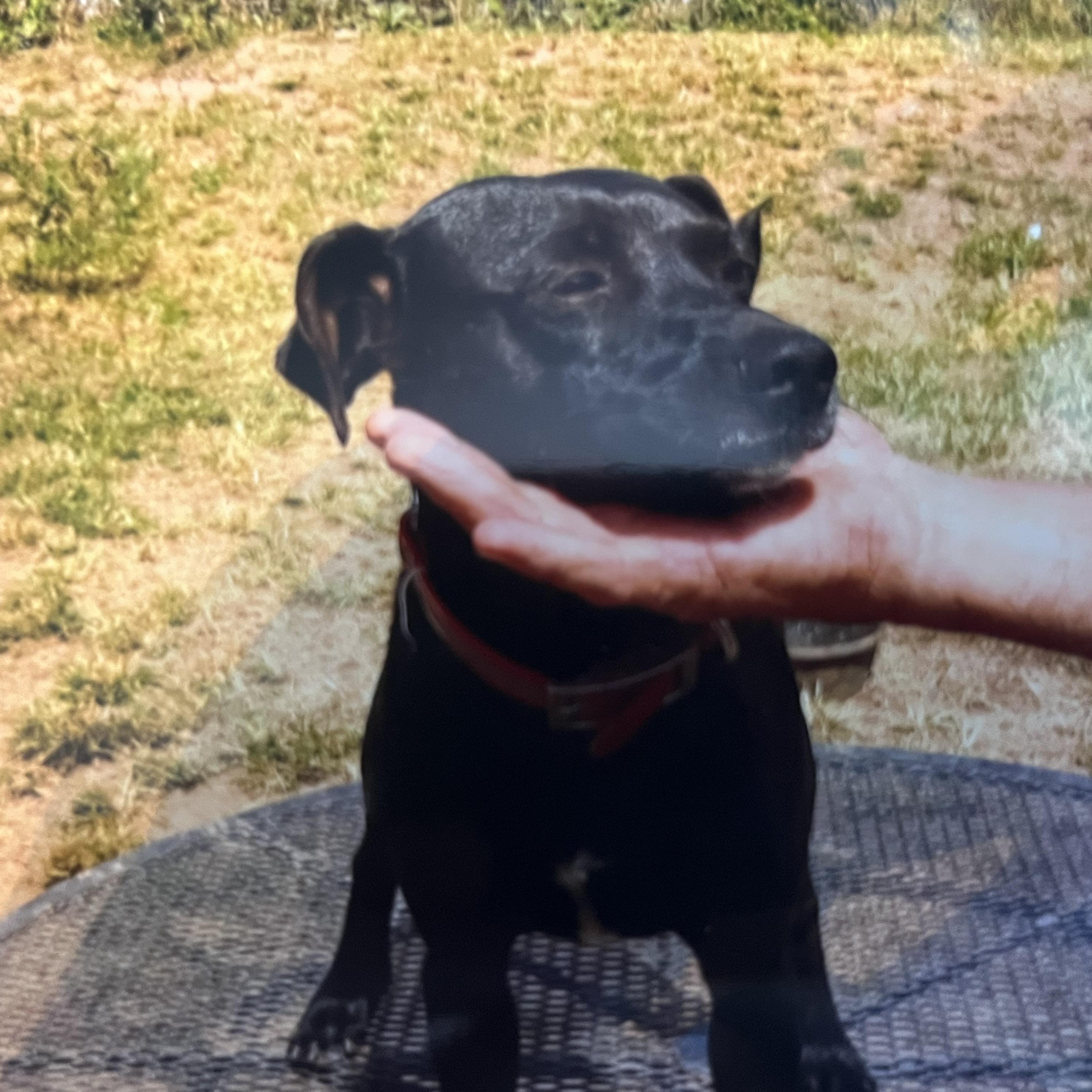 Baby Girl (Community Assist)