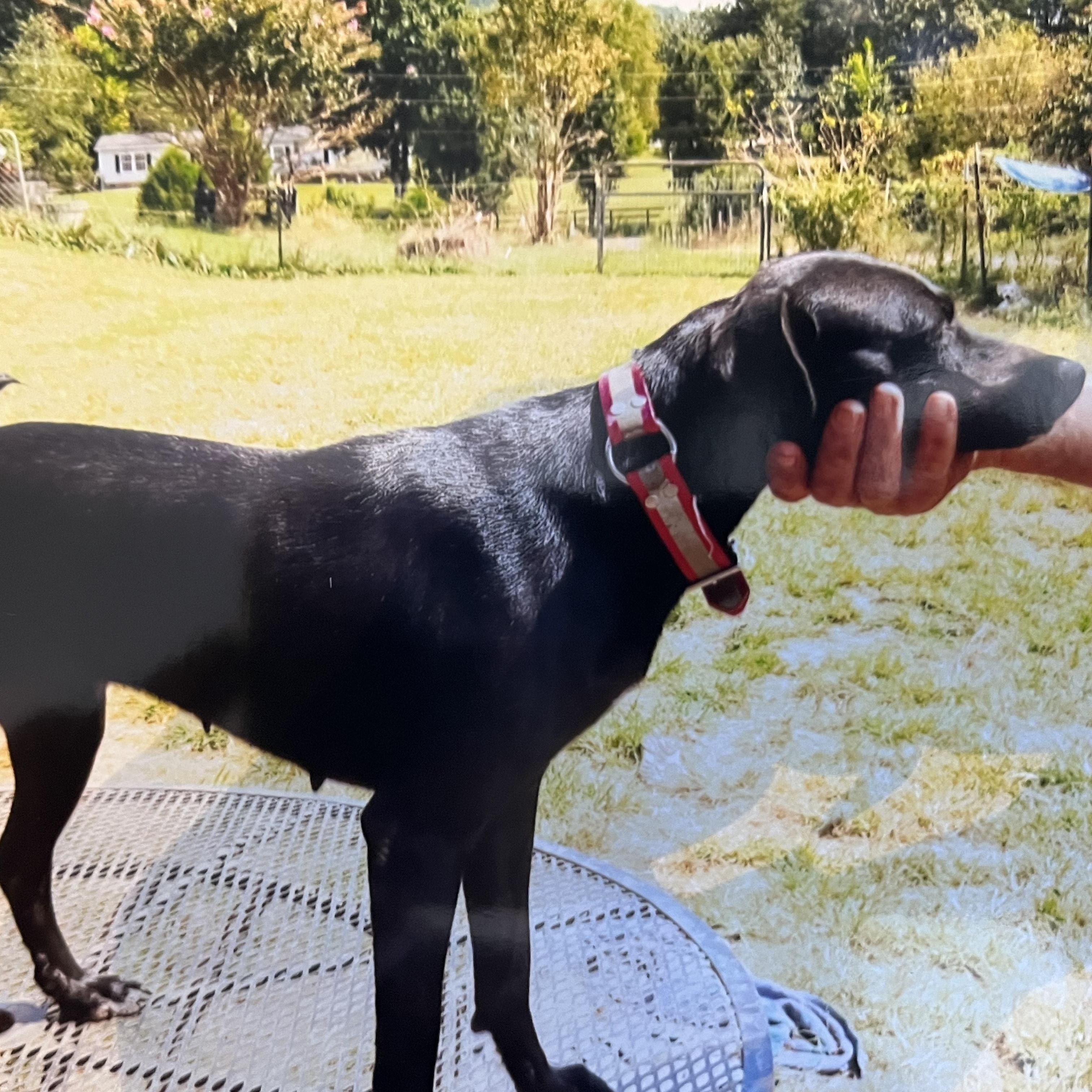 Baby Girl (Community Assist)